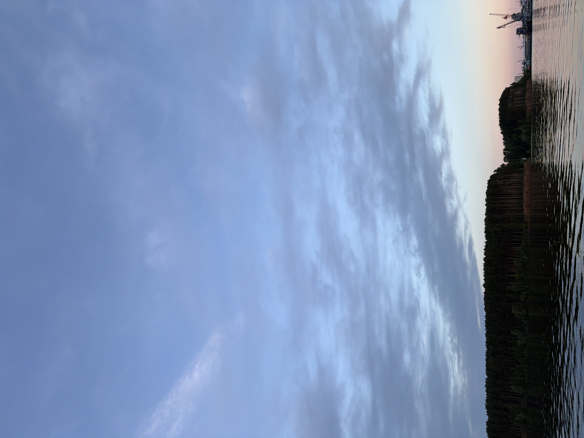 The image displays a serene landscape primarily composed of sky, water, and a forested shoreline, captured likely during dawn or dusk. The sky occupies the majority of the frame, showing a gradient from a soft blue on the left to a pale pinkish-orange hue along the horizon on the right. Scattered, wispy clouds, ranging from light white to muted grey, stretch across the sky, adding texture.
A dark, dense band of trees forms the shoreline, separating the expansive sky from the body of water below. These trees appear tall and slender, suggesting a coniferous forest. The water's surface, likely a river or lake, features gentle ripples that reflect the dark trees and the subtle colors of the sky.
In the far distance on the right side, above the treeline and against the pale horizon, industrial structures, including several cranes, are visible, indicating the presence of a port or industrial area. The overall lighting suggests either an early morning sunrise or a late evening sunset/dusk. The scene evokes a tranquil and expansive atmosphere. There is no visible text in the image. Given the location context of Chaikovsky, Russia, this scene likely depicts the Kama River.