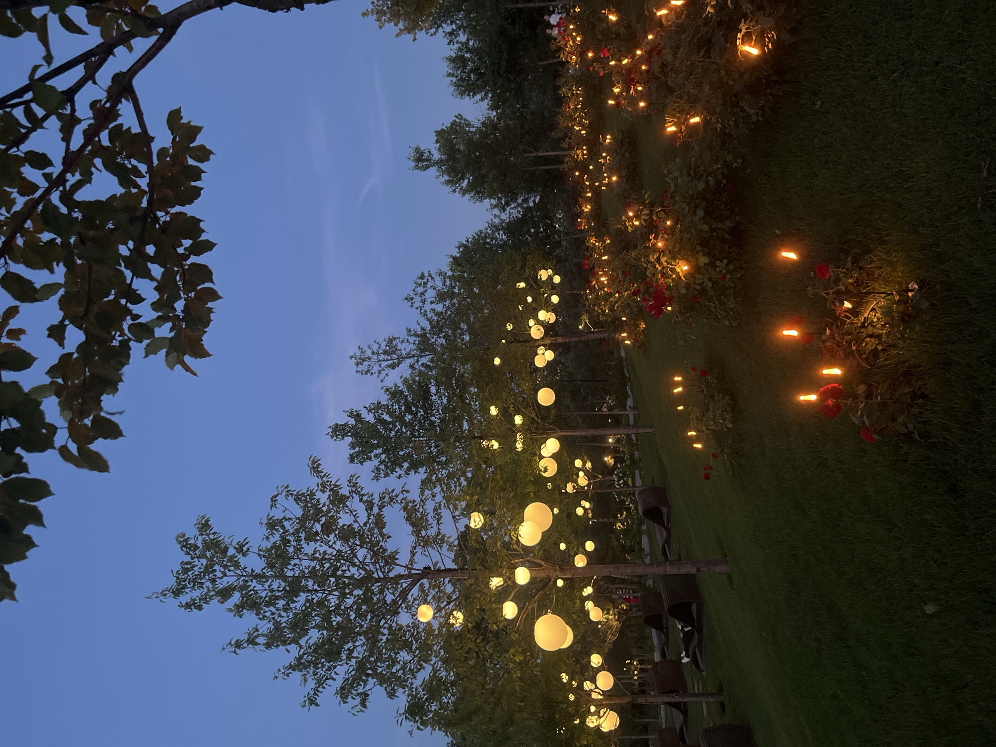 This image depicts an outdoor scene at dusk, likely in a garden or park setting in Krasnodar, Russia. The primary subjects are numerous string lights, some spherical and glowing brightly, others smaller and appearing as pinpoints of orange light. These lights are strung between trees and along a pathway bordered by rose bushes with red blooms, creating a festive and illuminated atmosphere. The trees are leafy, suggesting a season other than winter.
The scene is bathed in the soft twilight of the evening sky, which is a deep blue. The overall mood is serene and enchanting, with the warm glow of the lights contrasting with the darkening sky and verdant green grass. Some chairs are visible, hinting at a place for seating or relaxation. It appears to be a tranquil evening, possibly set up for an event or simply to enhance the ambiance of the location. There is no visible text in the image.