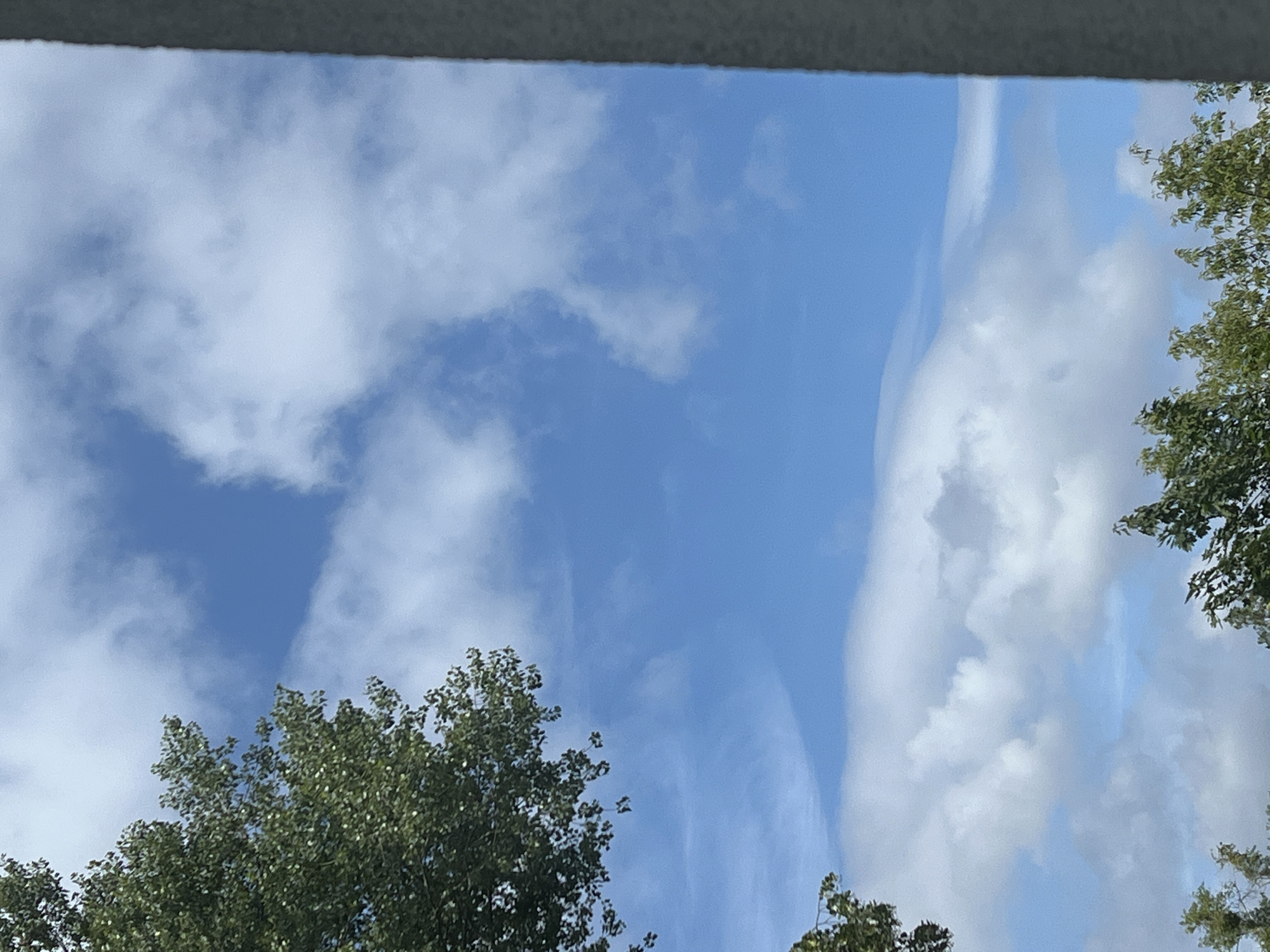 The image shows a view of a bright blue sky with scattered white clouds. The upper left portion of the image features the green foliage of a tree. The lower portion of the image also shows some green foliage from trees, suggesting a park or outdoor area. A portion of a grey vertical structure is visible on the right side of the image, which could be a building or a wall. There are no people or specific landmarks identifiable that would indicate a location in Warsaw, Poland.