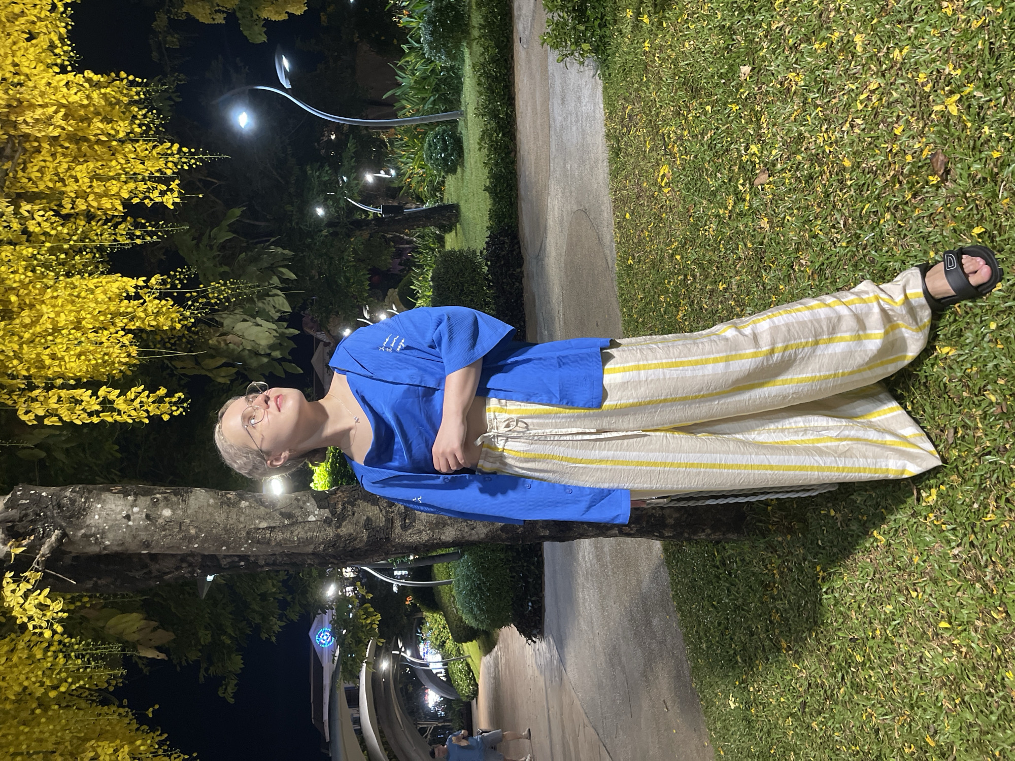 The vertical image depicts a person standing outdoors at night in Phú Quốc, Vietnam. The central subject, with short blonde hair and glasses, wears a bright blue long-sleeved shirt and cream-colored pants with distinctive yellow vertical stripes, paired with black open-toed sandals. The person is positioned to the right of a tree trunk, looking upwards and slightly to their left.
The setting is a well-lit outdoor area, possibly a park or garden. The dark sky confirms it is nighttime, with illumination provided by multiple streetlights and decorative string lights that cast a warm, inviting glow. To the left of the person, a tree laden with vibrant yellow flowers or leaves is a prominent feature, its bright color contrasting sharply with the night. Yellow petals are visibly scattered across the lush green grass, which borders a paved concrete pathway. In the background, dense green foliage and trimmed hedges line the path, with more distant lights visible.
Notable details include the tropical appearance of the yellow flowering tree, the ambient lighting, and a small, white graphic or text element on the right sleeve of the person's blue shirt. The overall scene suggests a pleasant evening atmosphere.