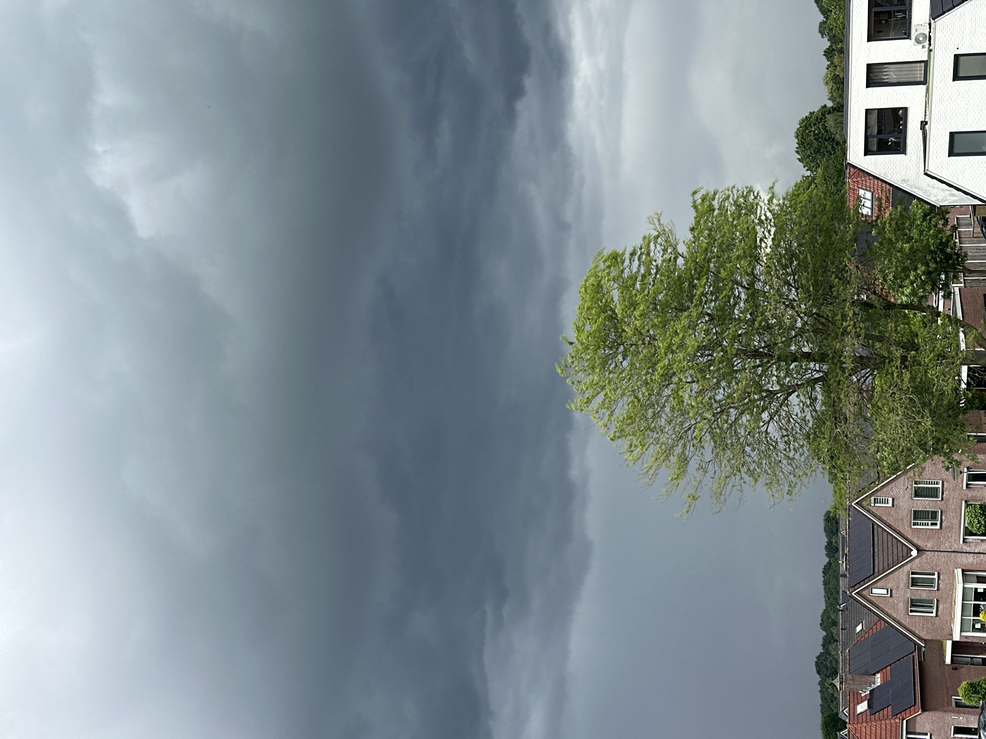The image captures a dramatic, overcast daytime scene in a residential area, consistent with a Dutch town like Almelo. The sky is largely covered by heavy, dark grey storm clouds, with lighter grey areas indicating a turbulent and possibly impending stormy weather front.
A prominent tree with vibrant green foliage stands in the middle-right of the frame, its leaves appearing to be rustling or blowing in the wind. Below and to the right of the tree, residential buildings are visible. These include a modern white house with dark-framed windows and a flat roof, possibly featuring an air conditioning unit on an upper wall. Further back and to the left of the tree, several traditional brick houses with dark tiled roofs are seen, many of which are fitted with solar panels. A dense line of green trees forms the horizon line in the background.
The scene focuses on the natural elements of the sky and trees interacting with the man-made structures of a residential neighborhood. No people are visible, and there is no specific activity taking place beyond the natural progression of weather. The time of day is clearly daytime, but the heavy cloud cover gives the light a dim, pre-storm quality. There is no visible text in the image.