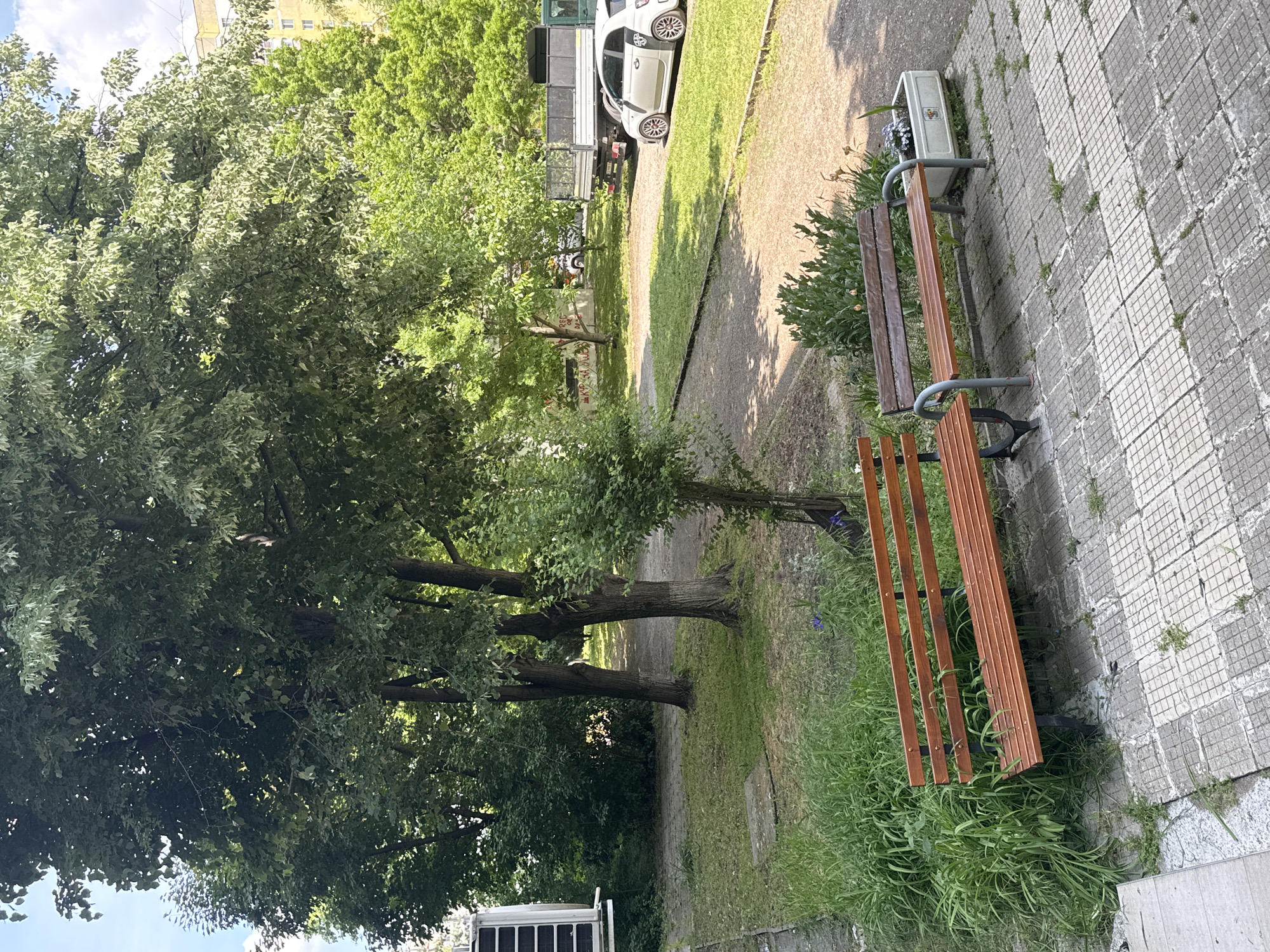 The image depicts a park or green space, possibly in Sofia, Bulgaria, given the urban characteristics. There are two wooden park benches, one located on a paved area with square tiles and the other amidst grass and greenery. Trees with dense foliage dominate the landscape. In the background, a white car and a truck are visible. The environment suggests a residential or mixed-use area within the city. No people are immediately visible.