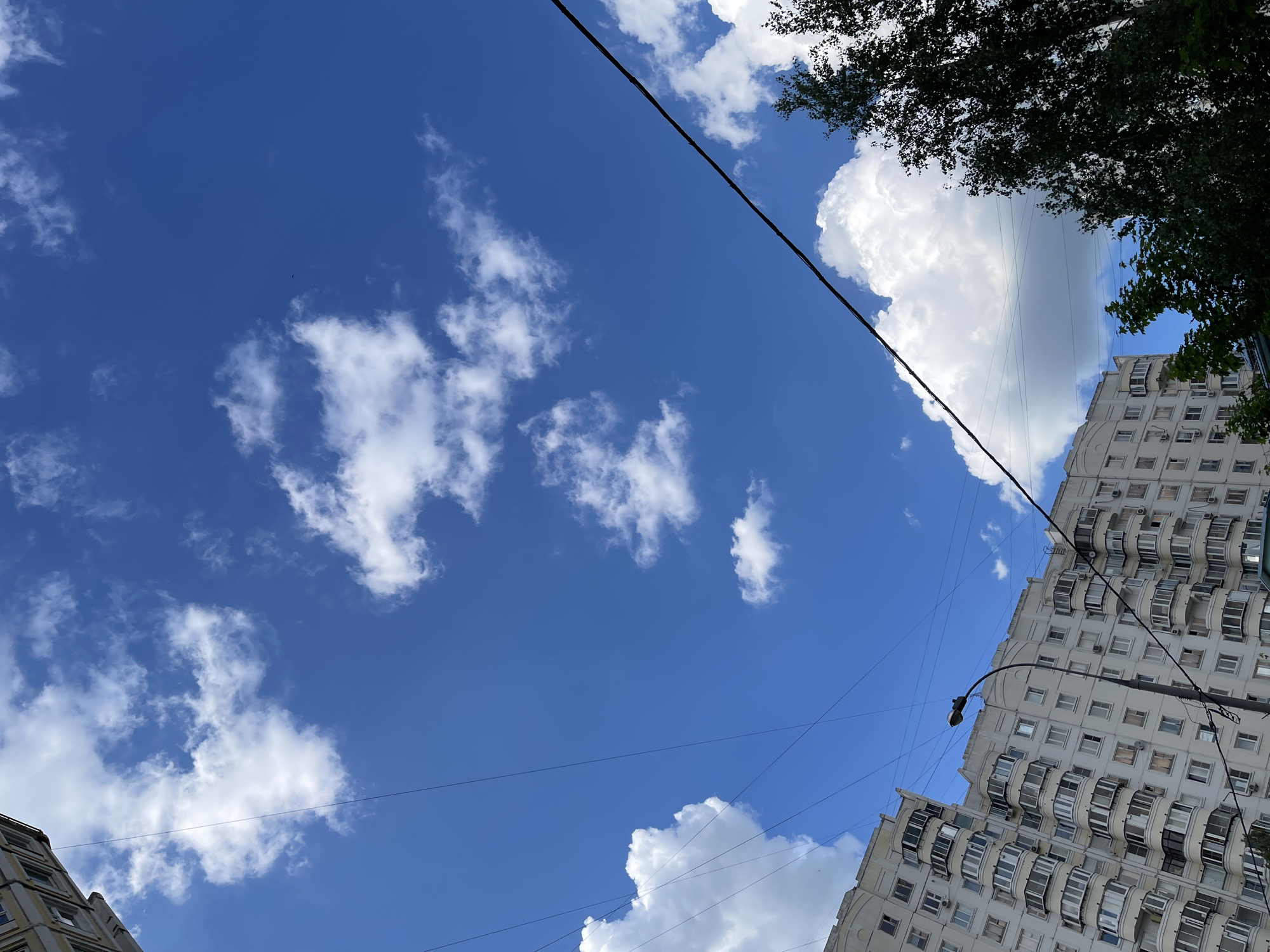 The image presents an upward, tilted view of a bright blue sky partially obscured by white cumulus clouds, captured in an urban setting, identified as Moscow, Russia. The perspective includes elements of the city's infrastructure and architecture framing the sky.
On the right side of the frame, a tall, light-colored residential building stands prominently, characterized by numerous windows and distinctive curved, possibly glass-enclosed balconies arranged in vertical stacks. A street lamp extends from this building towards the center of the image. Green foliage from trees is visible at the top right corner and along the bottom left edge, suggesting the presence of urban greenery. Another building is partially visible at the bottom left.
The sky is crisscrossed by several overhead power lines or cables, indicating an active urban environment. In the expansive blue sky, a tiny dark speck, likely a bird or insect, is visible. The scene is brightly lit, indicating clear, sunny daytime weather, possibly midday or early afternoon, with scattered clouds. No people or visible text are present in the image.
