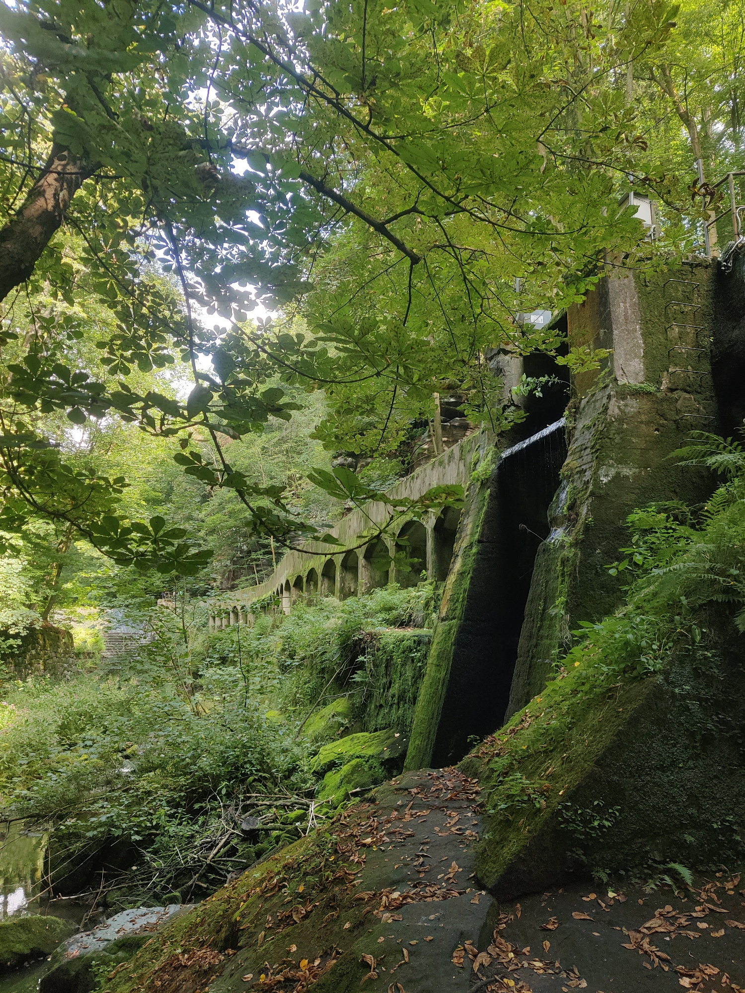 The image shows a moss-covered stone structure with arched openings and a small waterfall cascading down its side. Lush green foliage and trees surround the structure, suggesting an outdoor, natural setting. The ground is covered with fallen leaves. The scene appears to be a historical or architectural feature integrated into a forested area. This location is identified as the Liebethaler Grund in Lohmen, Germany, which is known for its natural beauty and rock formations, often featuring water features and historical structures. There are no people visible in the image.