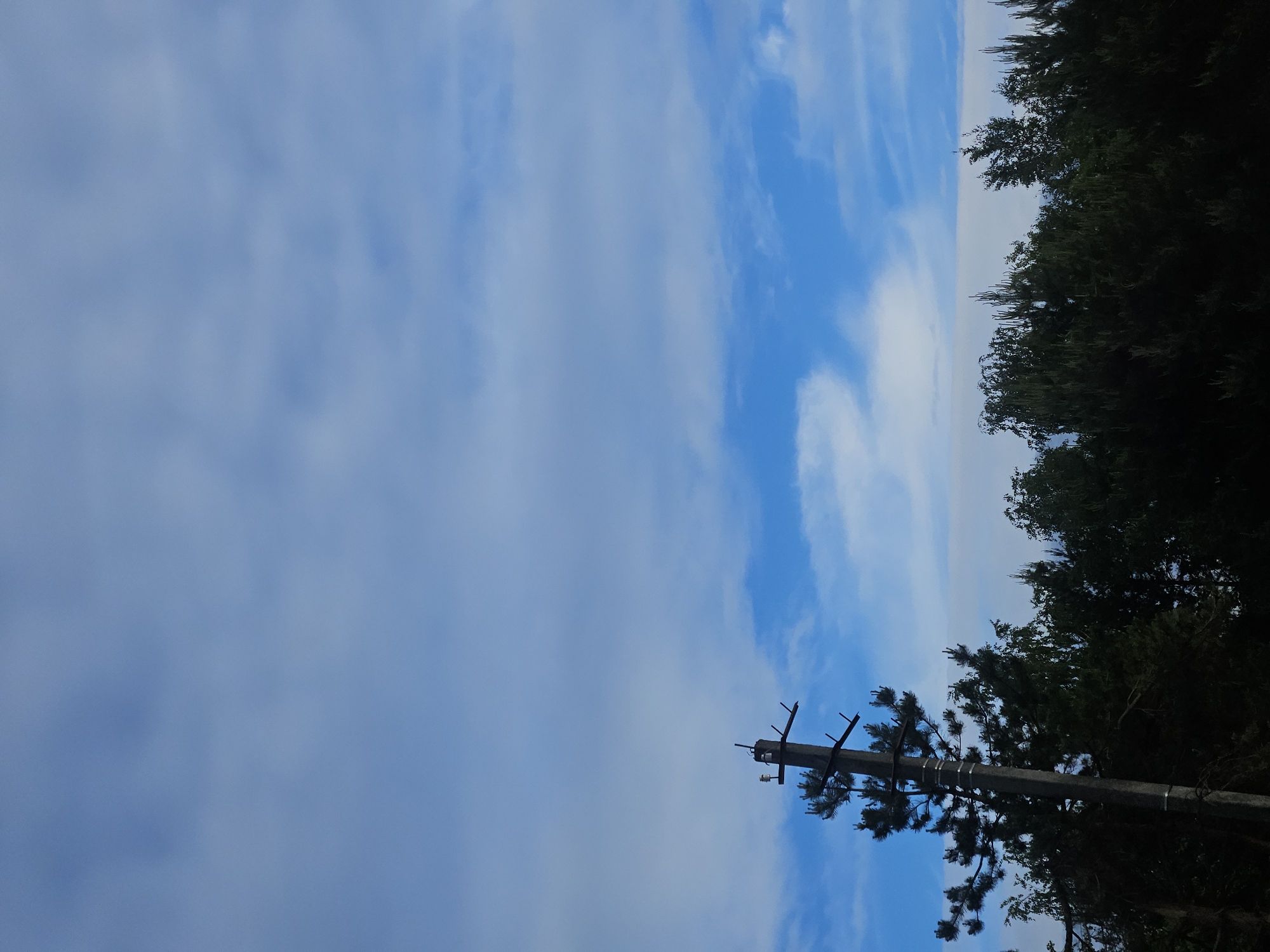 The image depicts a view of the sky in what appears to be an area with trees and utility poles. The sky is predominantly blue with some white cloud cover. The right edge of the image features dark green foliage, suggesting a line of trees or dense vegetation. In the lower right corner, there's a utility pole with crossbeams, silhouetted against the sky. The image is rotated such that the sky fills the majority of the frame on the left side. No people or specific actions are visible. The geographical location (Шмелёнки, Russia) is not discernible from the visual information provided in the image.