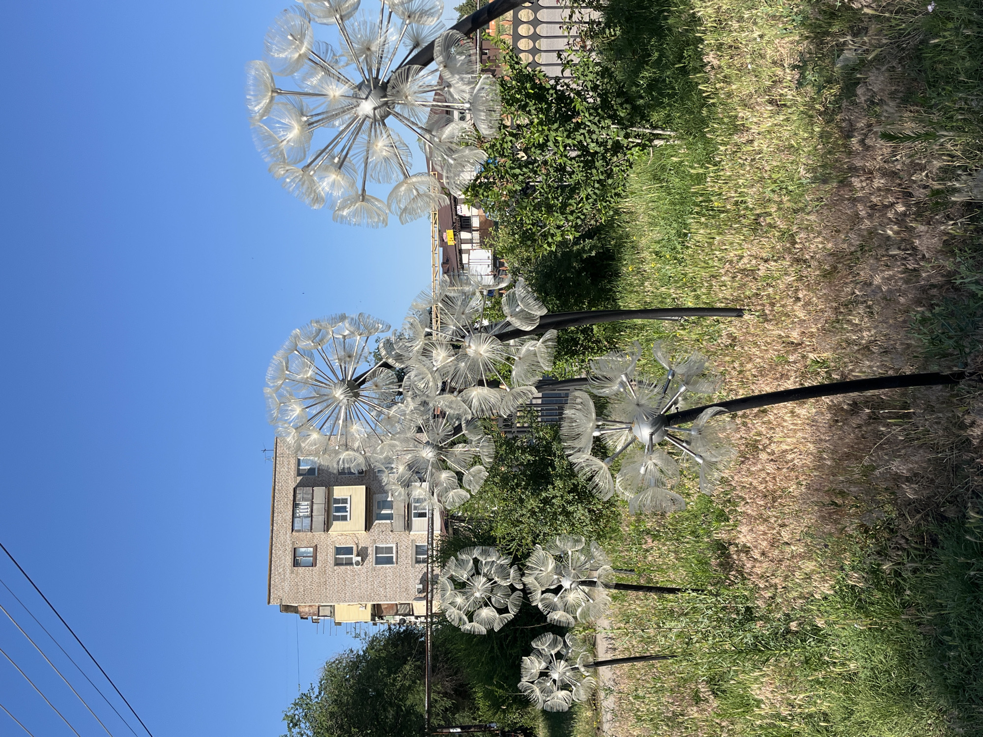 In Krasnyye Barrikady, Russia, a cluster of large, stylized dandelion sculptures stands in a grassy, overgrown area in front of a building. The sculptures, made of clear, translucent material, mimic the fluffy seed heads of dandelions, with thin spokes radiating from a central hub. They are mounted on black poles of varying heights, creating a whimsical, garden-like installation. Behind the sculptures, a multi-story brick apartment building with yellow accents is visible, featuring a row of windows and balconies. Lush green bushes and trees surround the building and sculptures. The sky above is a clear, bright blue, and power lines are strung across the upper portion of the frame, indicating an urban or suburban setting. The ground is covered in a mix of green grass and dry, brown foliage, suggesting a natural, unmanicured landscape.