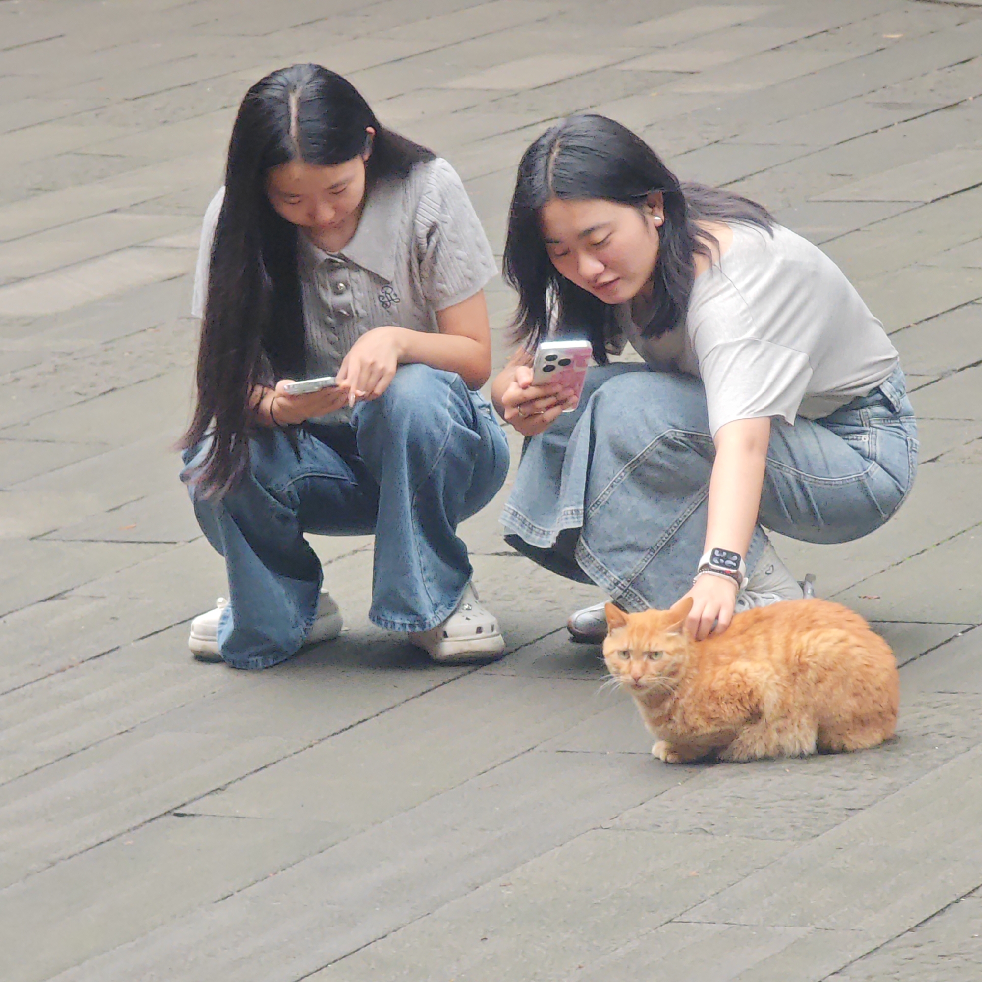 Two young women squat on a stone-paved surface. The woman on the right pets an orange tabby cat. Both women are looking at their respective smartphones. The scene is likely set in a public area in the city of Yuzhong District, China.