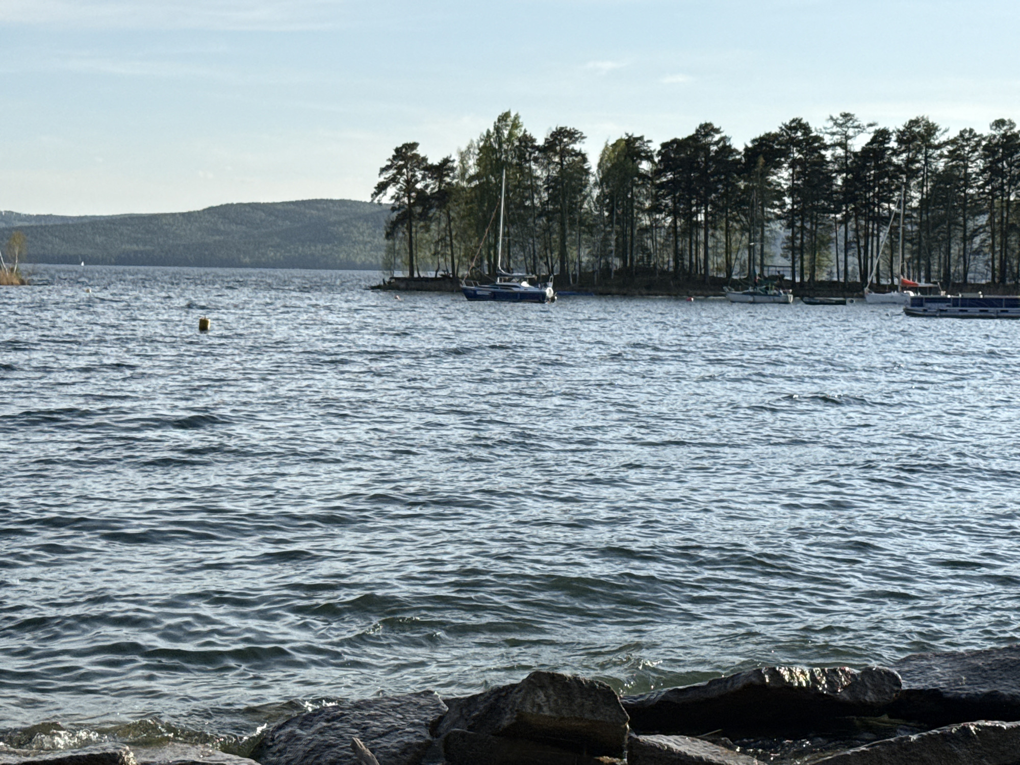 The image depicts a body of water, possibly a lake or sea, with a landmass in the background featuring trees and hills. In the middle ground, a small island or peninsula is densely covered with trees, interspersed with some boats docked along its shore. The foreground consists of rocky terrain, likely the shoreline. The sky is clear and bright. There is a yellow buoy in the water. The location is Zolotoi Plyazh, Russia.