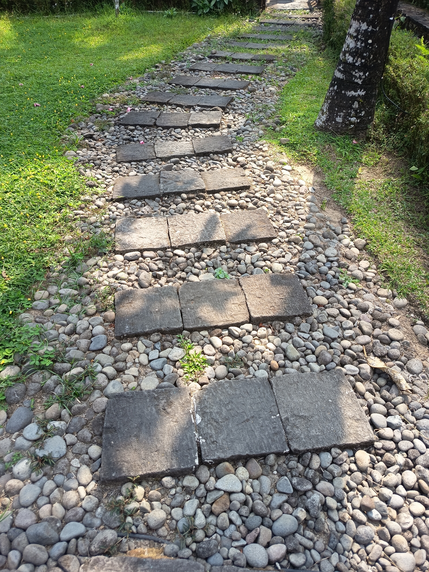 The image depicts a winding pathway made of stepping stones interspersed with river rocks. The path is bordered by lush green grass and some foliage. A large tree trunk with rough bark is visible on the right side of the image, partially shaded by greenery. The scene appears to be outdoors, likely in a park or garden setting, and is bathed in sunlight, creating shadows on the path and surrounding vegetation. The location is identified as Ngaglik, Indonesia. There are no people or animals visible in the image.