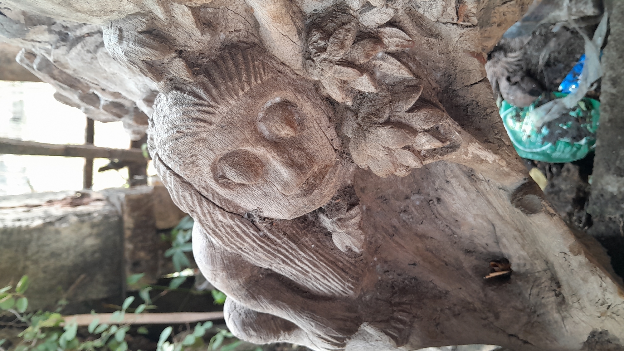 The image depicts a close-up view of a wooden carving of a creature with large, circular eyes, a small nose, and a smiling mouth. The carving appears to be part of a larger piece of wood, possibly a tree trunk, which shows signs of age and weathering. The texture of the wood is rough and detailed, with visible grain lines and some cracks.
In the foreground, to the right of the carving, is a piece of green plastic debris, possibly a bottle cap or fragment, lying on the ground. The background is out of focus, showing glimpses of foliage and what appears to be a weathered wooden structure with openings, suggesting an outdoor setting.
While the specific location within Sumberarum, Indonesia, is not identifiable from the image itself, the overall scene suggests an outdoor environment, possibly a garden, yard, or a rustic area where such a carving might be displayed. The presence of debris indicates a less-than-pristine environment. No people are visible in the image.