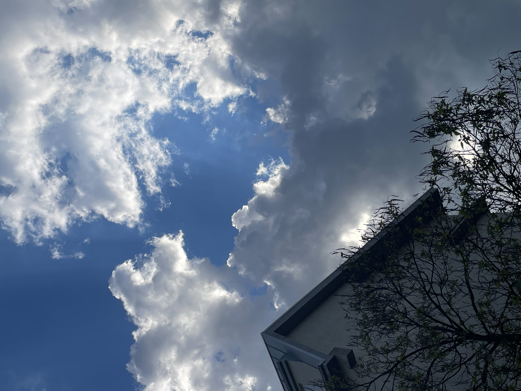 The image captures a low-angle view of a building obscured by trees and clouds in an unknown city. The sky occupies most of the frame, exhibiting a contrast between light blue patches and dense, grey clouds. Sunlight streams through the open areas. The corner of a building, likely a residential or commercial structure, is visible on the lower right side, partially covered by tree branches with sparse green leaves. The lighting is dramatic, with the sun positioned behind the trees creating a silhouette effect.