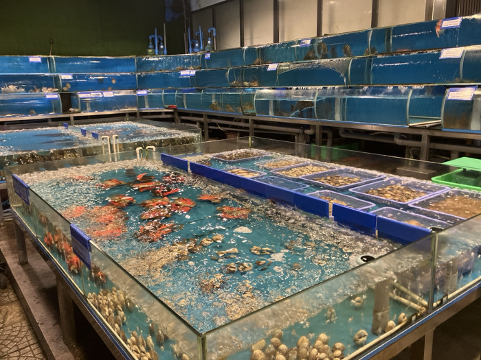 The scene depicts the interior of a commercial establishment, likely a seafood restaurant or market, situated in Ngũ Hành Sơn Ward, Vietnam. The area is filled with numerous glass tanks displaying live marine animals. In the foreground and middle ground, multiple large, shallow rectangular glass tanks, elevated on metal stands, contain various species. One prominent tank holds a dense cluster of live, vibrant red-orange crabs in aerated water, which exhibits significant bubbling. Adjacent tanks contain collections of light-colored bivalve shellfish resting on the tank bottoms and within several submerged blue plastic trays. In the background, a tiered arrangement of narrower, horizontally oriented glass tanks extends along a dark-colored wall, each containing additional live marine creatures such as fish and various shellfish. Artificial lighting illuminates the entire setup. No individuals or specific human actions are present within the frame.