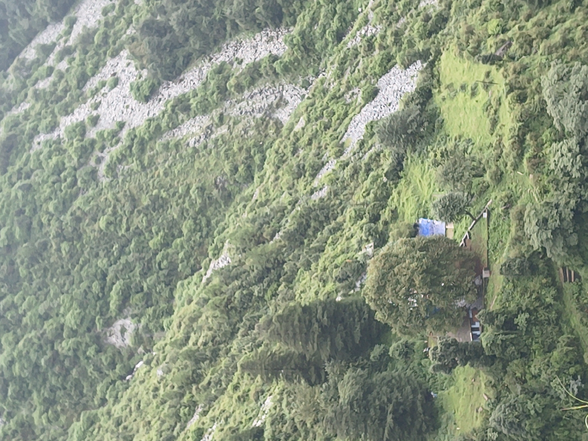 The image depicts a lush, green mountainside in Bhagsu, India, with a scattered collection of small structures nestled among the trees. A few houses, one with a blue tarp on its roof, are visible, along with some wooden steps leading up the incline. The terrain is uneven and rocky in places, with dense vegetation covering most of the slope. The overall impression is of a remote, natural setting with minimal human development.