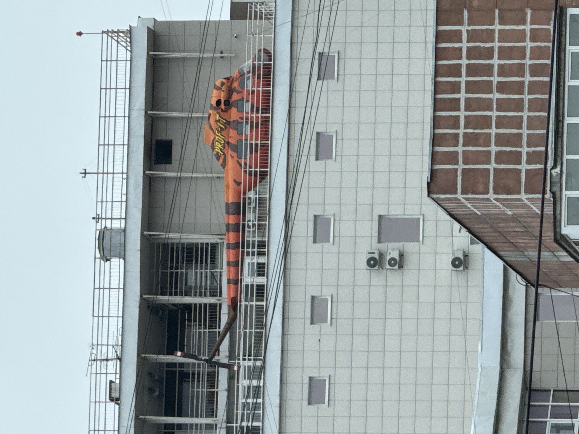 A tall building with different facades stands against a light sky. On the left side, a light-colored structure with metal frameworks is visible. An orange and brown tiger-striped object, labeled "PROFIT IT" in yellow, is attached to the structure. The middle section of the building has a grid pattern with multiple small, dark windows and several air conditioning units. The right side of the building features a section with a grid of brown brickwork. Wires cross the view in the foreground. This is the location of Profit IT in Perm, Russia.