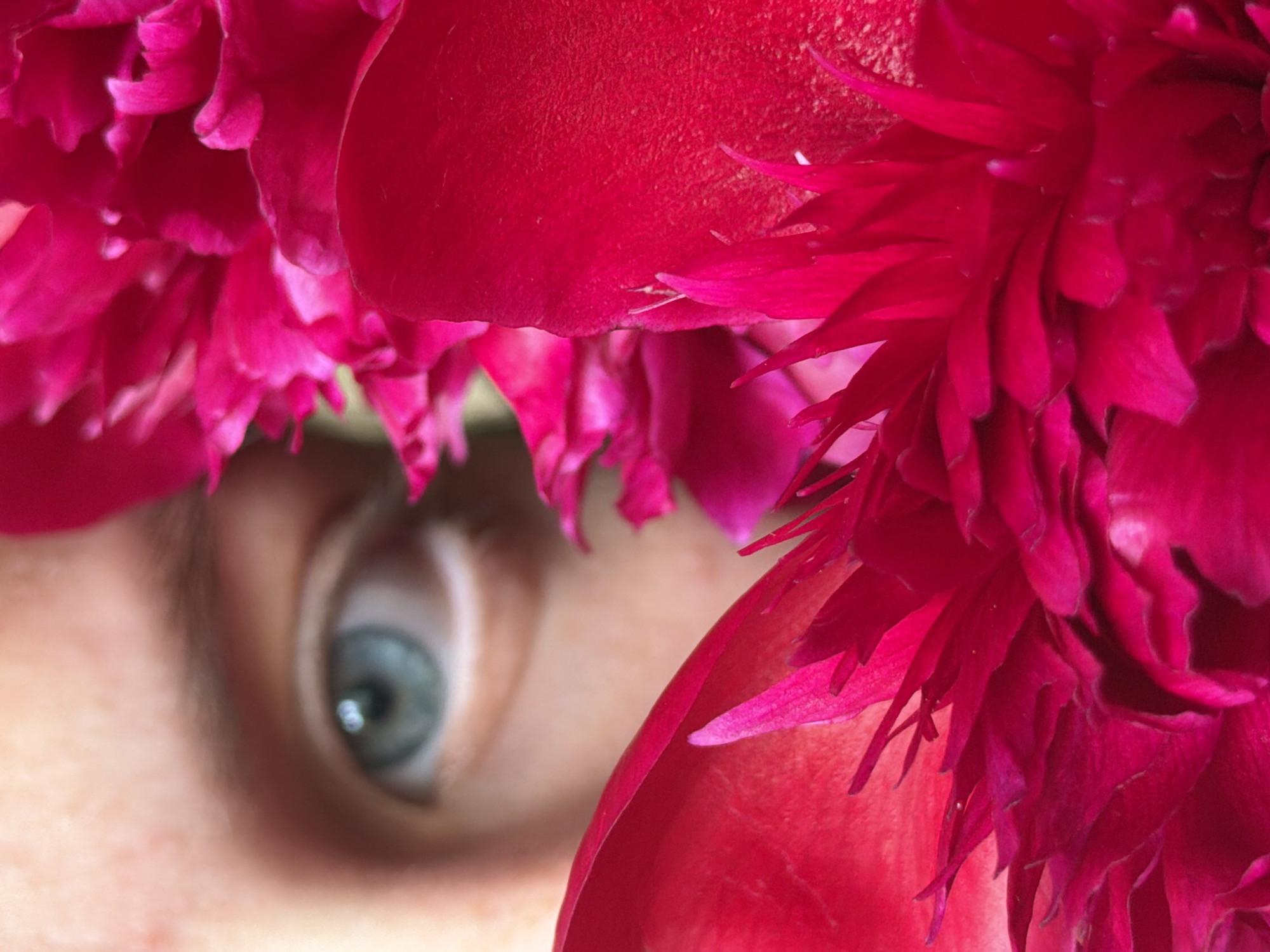 A close-up, artistic photograph captures a striking juxtaposition of natural beauty and human presence. Dominating the foreground and right side of the frame are vibrant, layered petals of a fuchsia or deep pink flower, likely a peony, with their rich texture and intricate forms clearly visible. These petals frame and partially obscure a human eye, positioned on the left side of the image. The eye, with a distinctive blue-grey iris, is slightly out of focus, adding a sense of depth and mystery to the composition. The skin around the eye shows subtle texture, blurred against the sharp details of the flower.
The image suggests an intimate moment, perhaps someone looking through or from behind the flower. The activity appears to be a deliberate pose for a photograph, highlighting the interaction between a person and nature. The overall mood is one of intrigue and aesthetic appeal, emphasizing color and form. No specific time of day or weather conditions can be discerned. The location context provided for the image is Izhevsk, Russia. There is no visible text in the photograph.