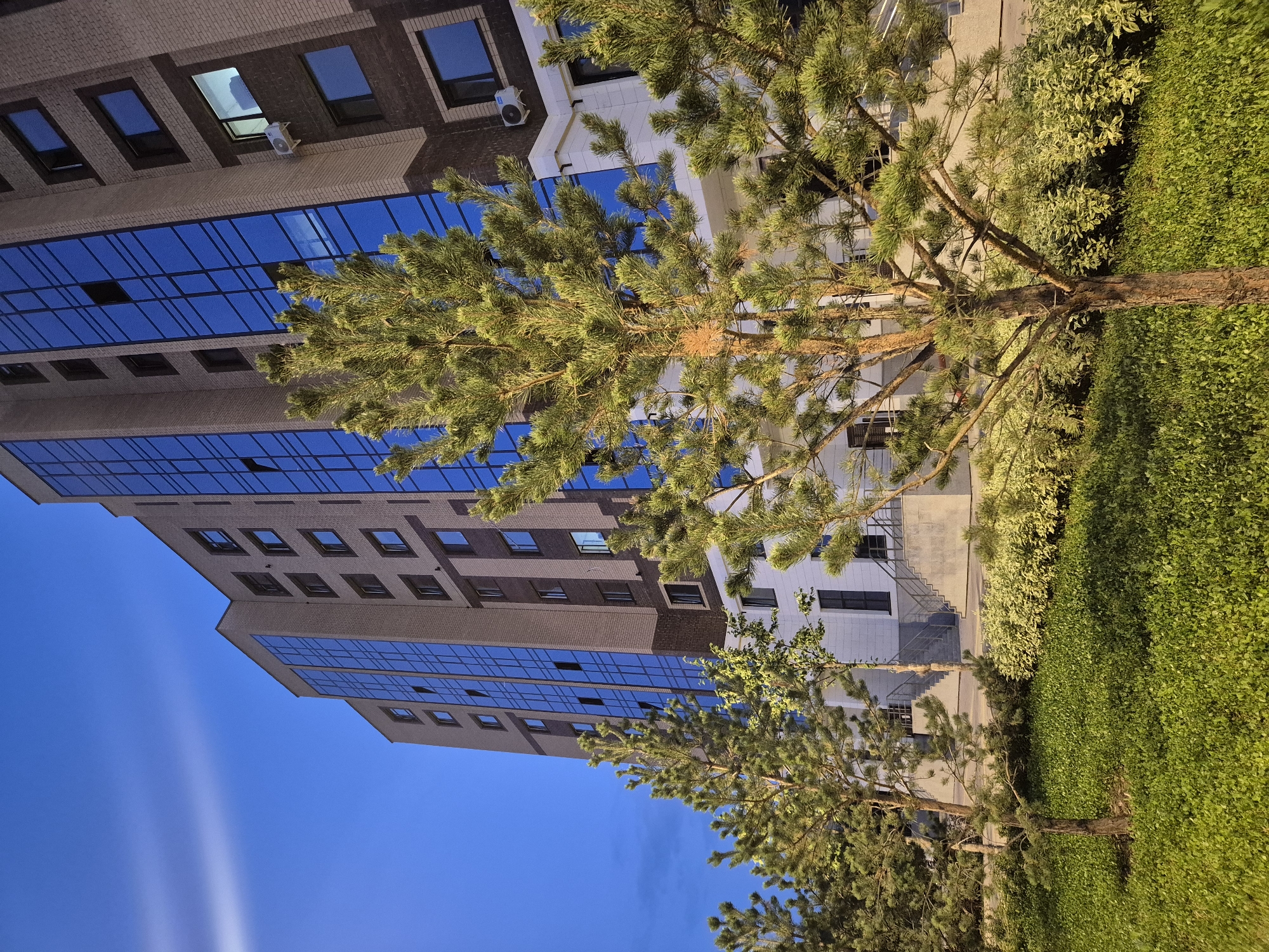 The image shows a modern apartment building with a brick facade and large blue glass windows, set against a clear blue evening sky. In the foreground, several pine trees and lush green grass are illuminated by artificial lights. The building features multiple stories, air conditioning units visible on some floors, and staircases leading to entrances. The scene appears to be a residential area in the city of Kokshetau, Kazakhstan, likely taken at dusk or early evening due to the illumination of the landscape and the twilight sky. There are no people visible in the image.