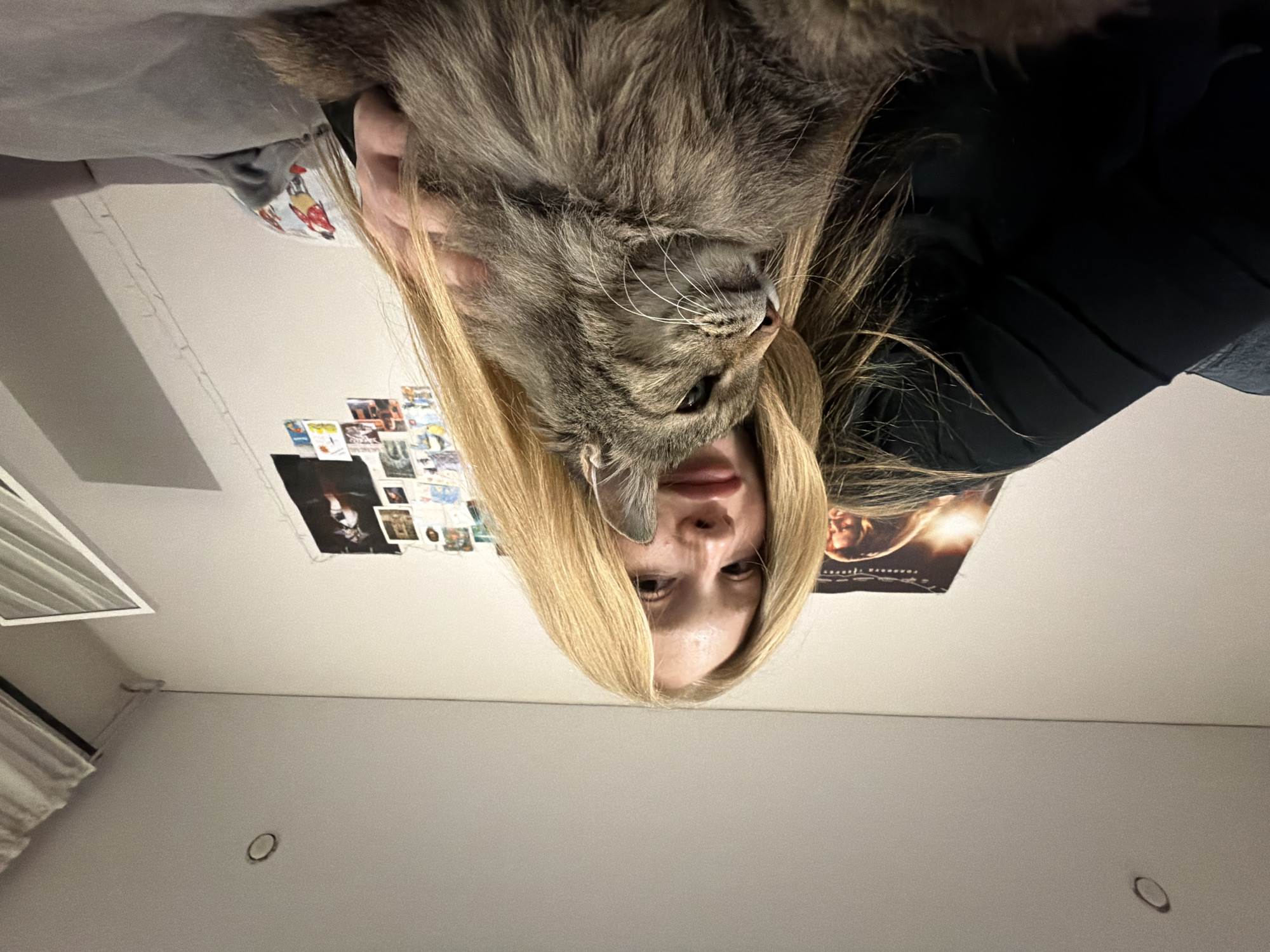 A woman with blonde hair is holding a tabby cat in front of her face. They are indoors. Behind them is a ceiling with a collection of small photos and a poster attached to it. The location is Засечное, Russia.