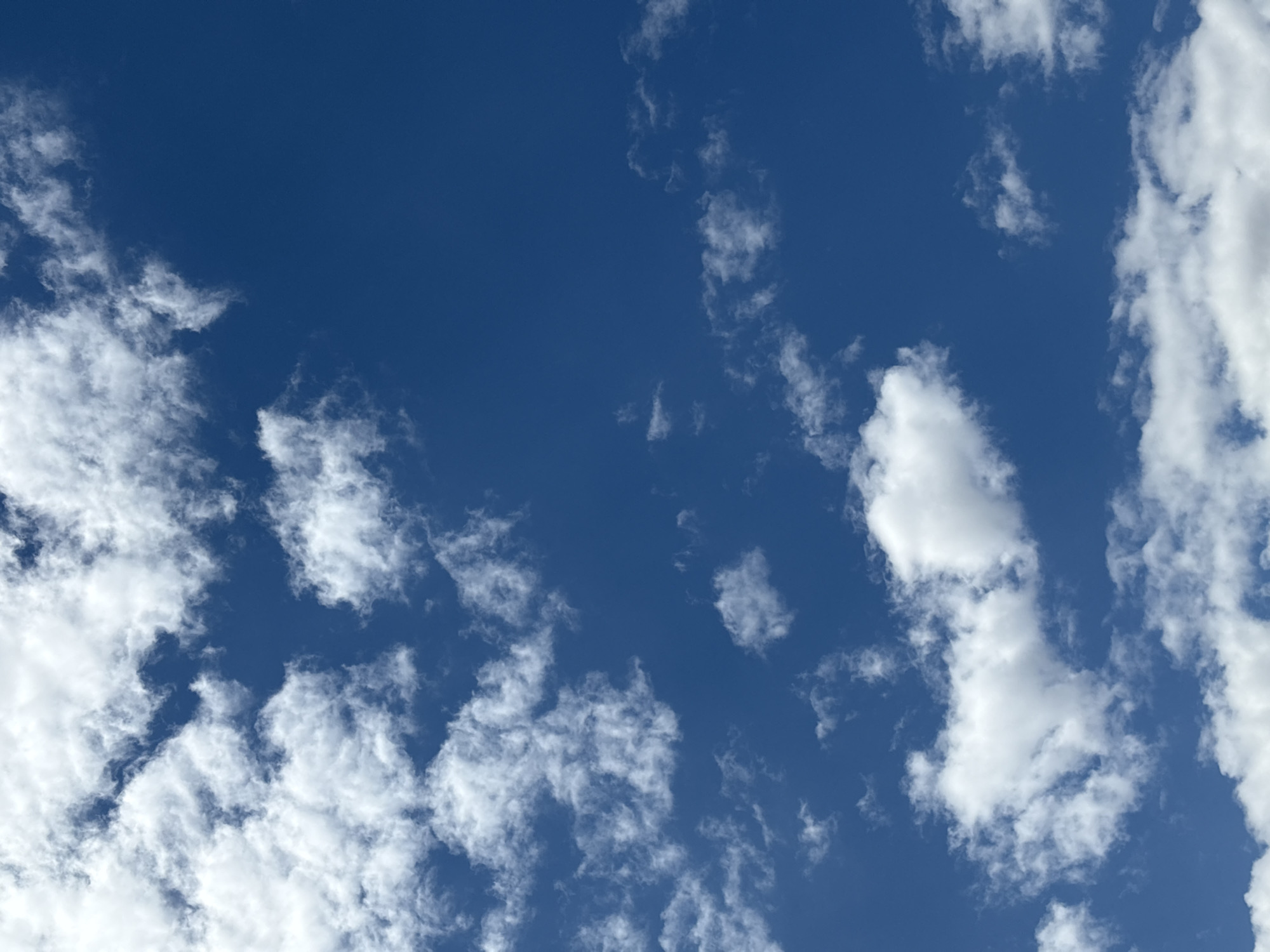 This is a close-up, eye-level, vertical shot of a bright blue sky filled with scattered white cumulus clouds. The clouds vary in size and density, with some appearing fluffy and distinct, while others are wispy and more diffuse. The lighting suggests a daytime scene, likely under clear weather conditions. There are no people, structures, or identifiable landmarks visible in the image.