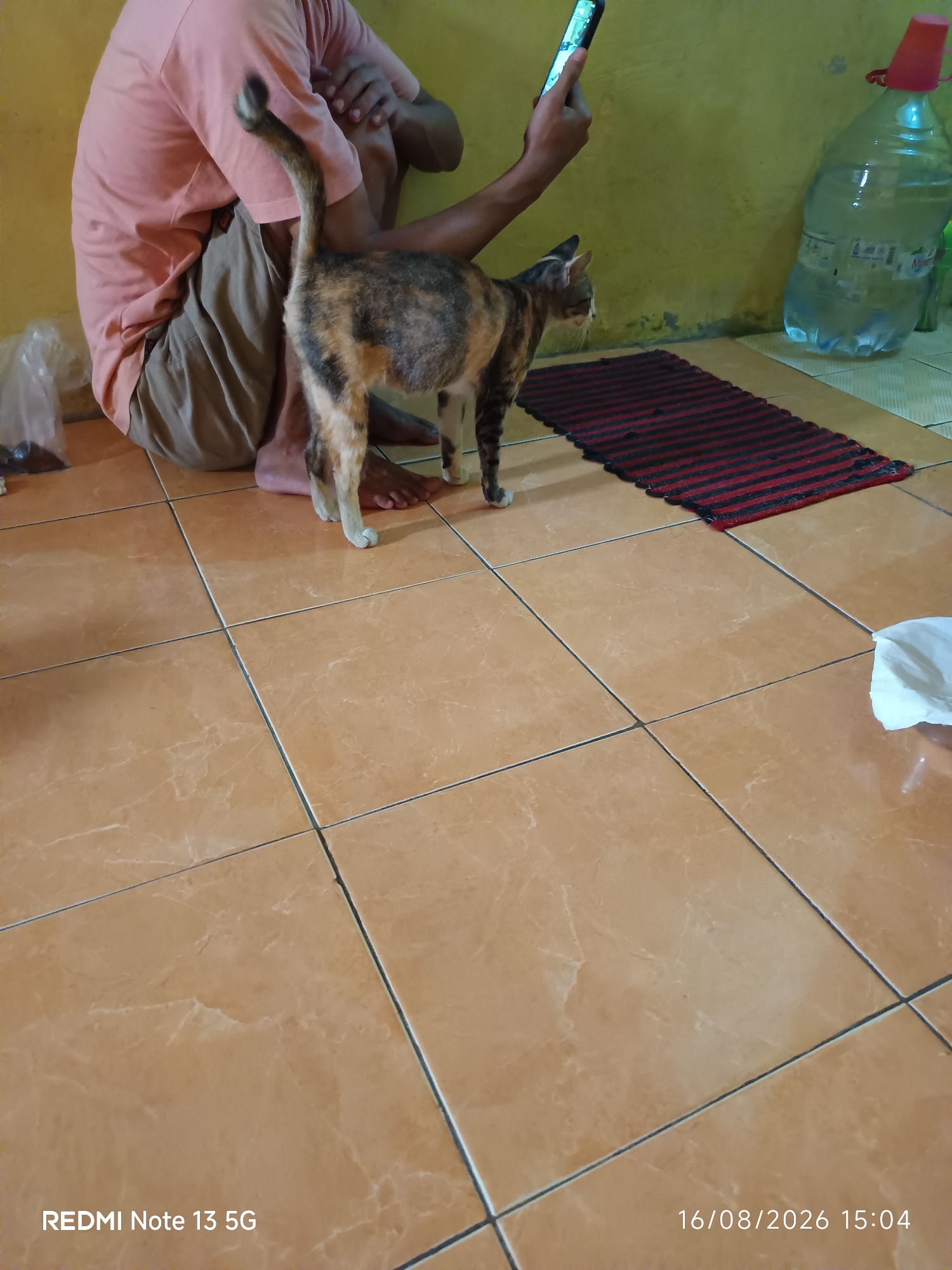 The image shows a domestic indoor scene. A person, partially visible, is seated on the floor, holding a smartphone. A calico cat stands on the tiled floor, looking towards the person. In the background, a large plastic water bottle with a red cap is visible. A small striped mat lies on the floor. The floor is covered with light brown tiles. The wall behind the person and the cat is yellow. The overall impression is a casual, everyday moment captured in a home environment. This scene is located in Talaga Sari, Indonesia.