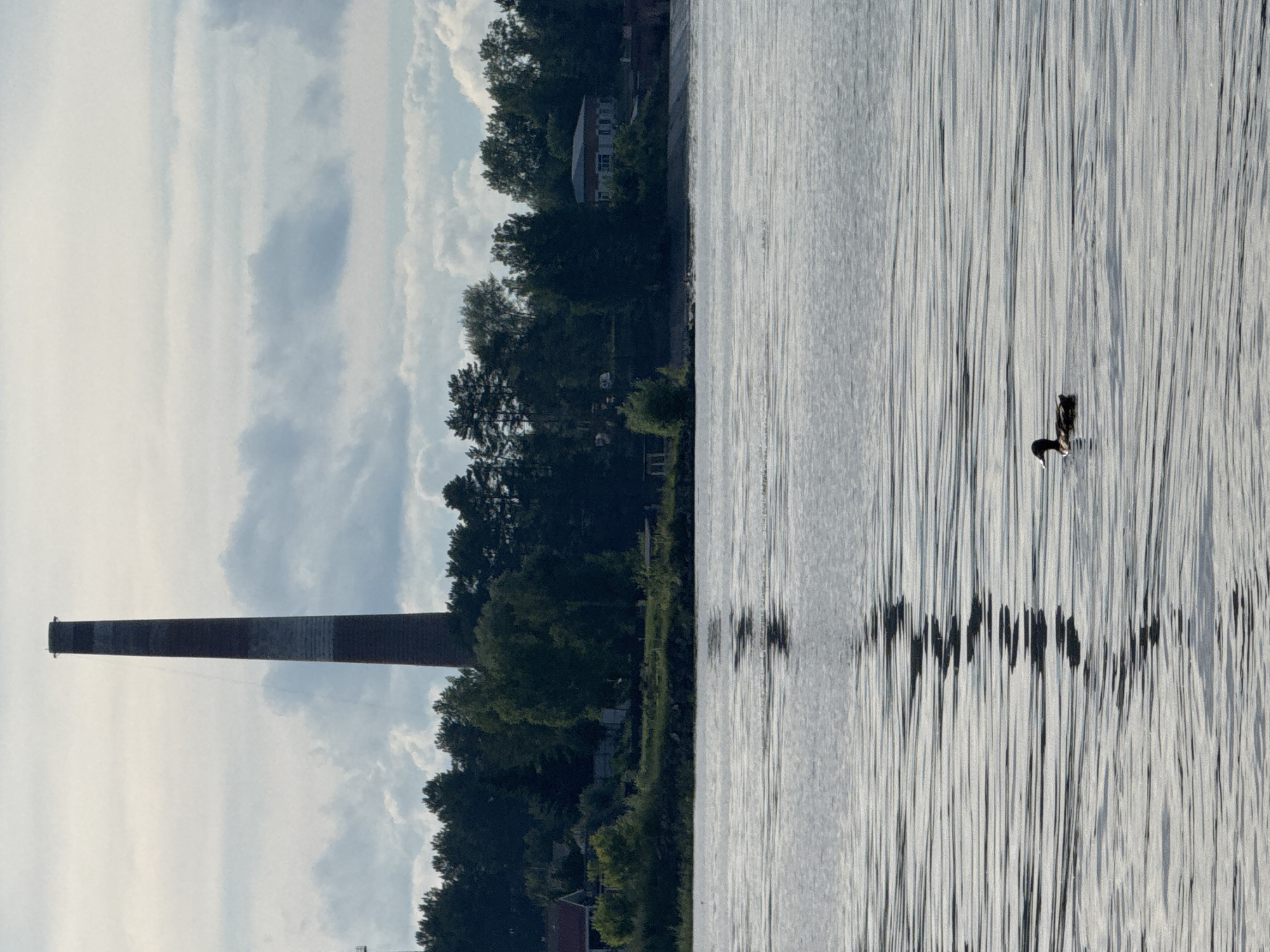 The image depicts a waterfront scene in Chaikovsky, Russia, dominated by a tall, red and gray brick smokestack on the left side of the frame, silhouetted against a cloudy sky. The smokestack stands on a treeline that separates the land from the body of water in the foreground. Several buildings are visible among the trees, including what appears to be a residential house with a dark roof and a larger, light-colored building with a blue roof further to the right. The water's surface is rippled, reflecting the light and the trees on the shore. A single duck is swimming in the water in the lower right quadrant of the image. The overall atmosphere is somewhat overcast, suggesting it might be a cooler day or late afternoon.