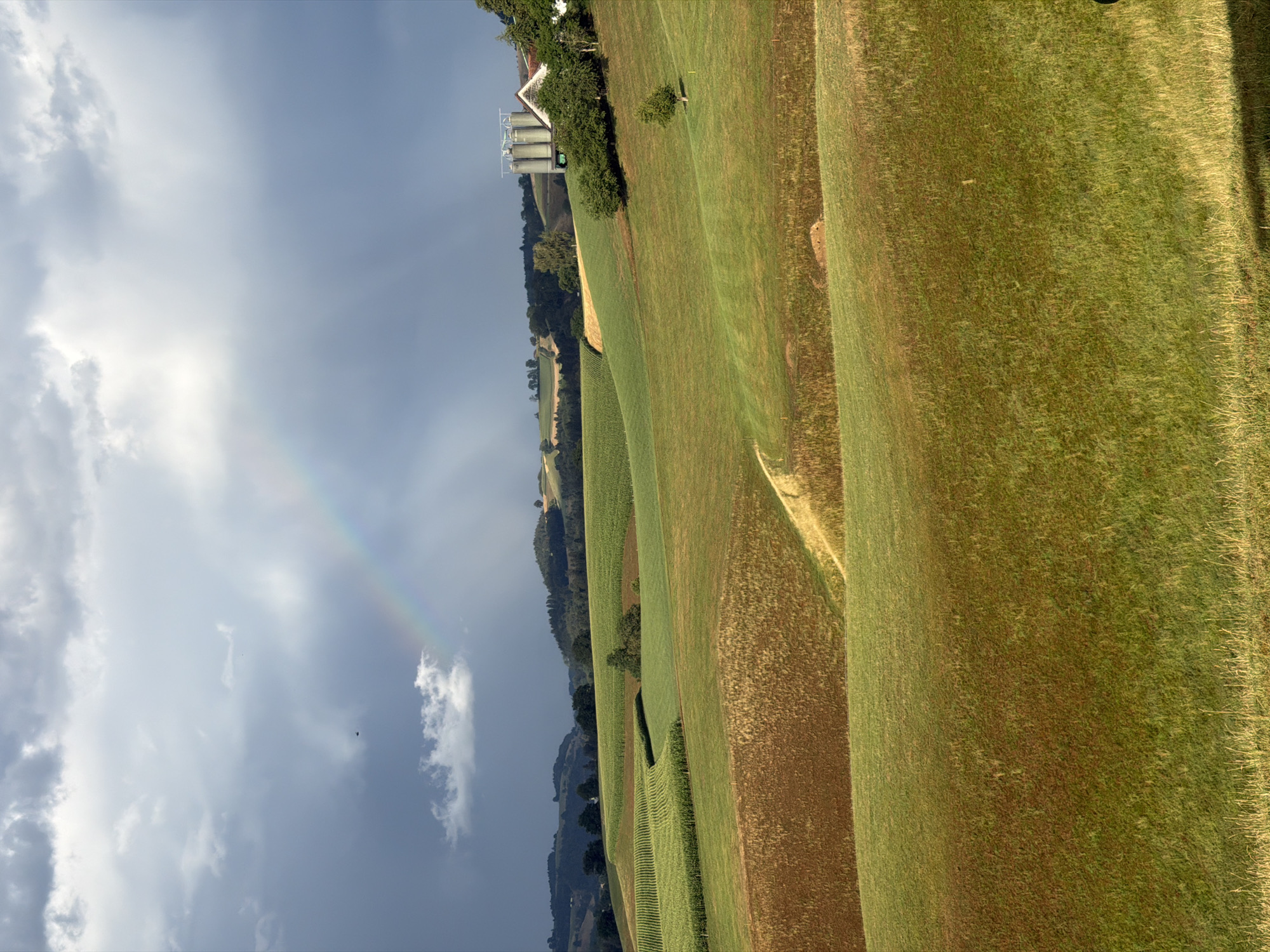 The image captures a pastoral landscape in Ufhusen, Switzerland, under a dramatic sky. A rainbow arcs across the frame, emerging from dark, brooding clouds on the left and fading into brighter, sunlit portions of the sky on the right. The terrain is characterized by rolling green hills, sculpted into neat fields. In the middle ground, a field of corn stands out with its distinct rows, bordered by lush green grass. Further to the right, a farm building complex is visible, featuring three tall cylindrical silos adjacent to a white-roofed structure. A small, solitary tree stands on the grassy slope in front of the farm buildings. The foreground consists of more rolling hills, with the lower portion of the image showcasing fields of varying shades of green and brown grass, some appearing drier and more autumnal. The overall scene evokes a sense of rural tranquility, punctuated by the fleeting beauty of a rainbow after or during a rain shower. There are no people or animals visible in the image.