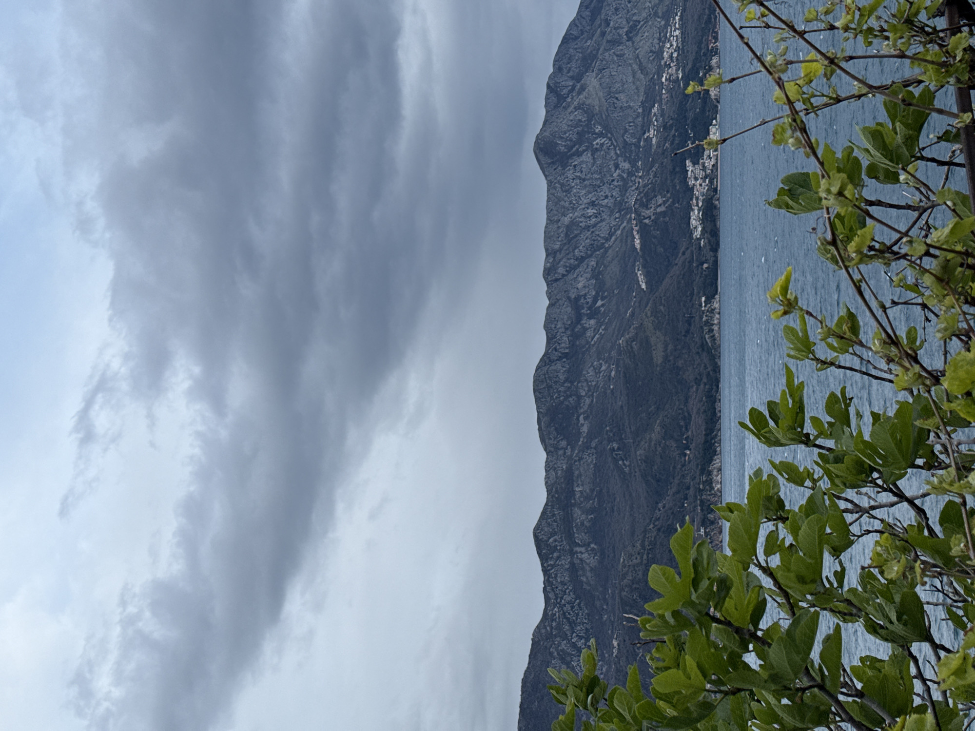 The image shows a mountain range meeting the sea, likely the Adriatic. A cloudy sky is visible above the mountains. The sea is calm, with some ripples on the surface. A tree branch with green leaves frames the right side of the image. Small white buildings can be seen along the mountain's edge. The location is likely near the city of Budva, Montenegro, considering the Adriatic Sea and mountainous terrain. The image depicts a natural landscape with a hint of urban development.