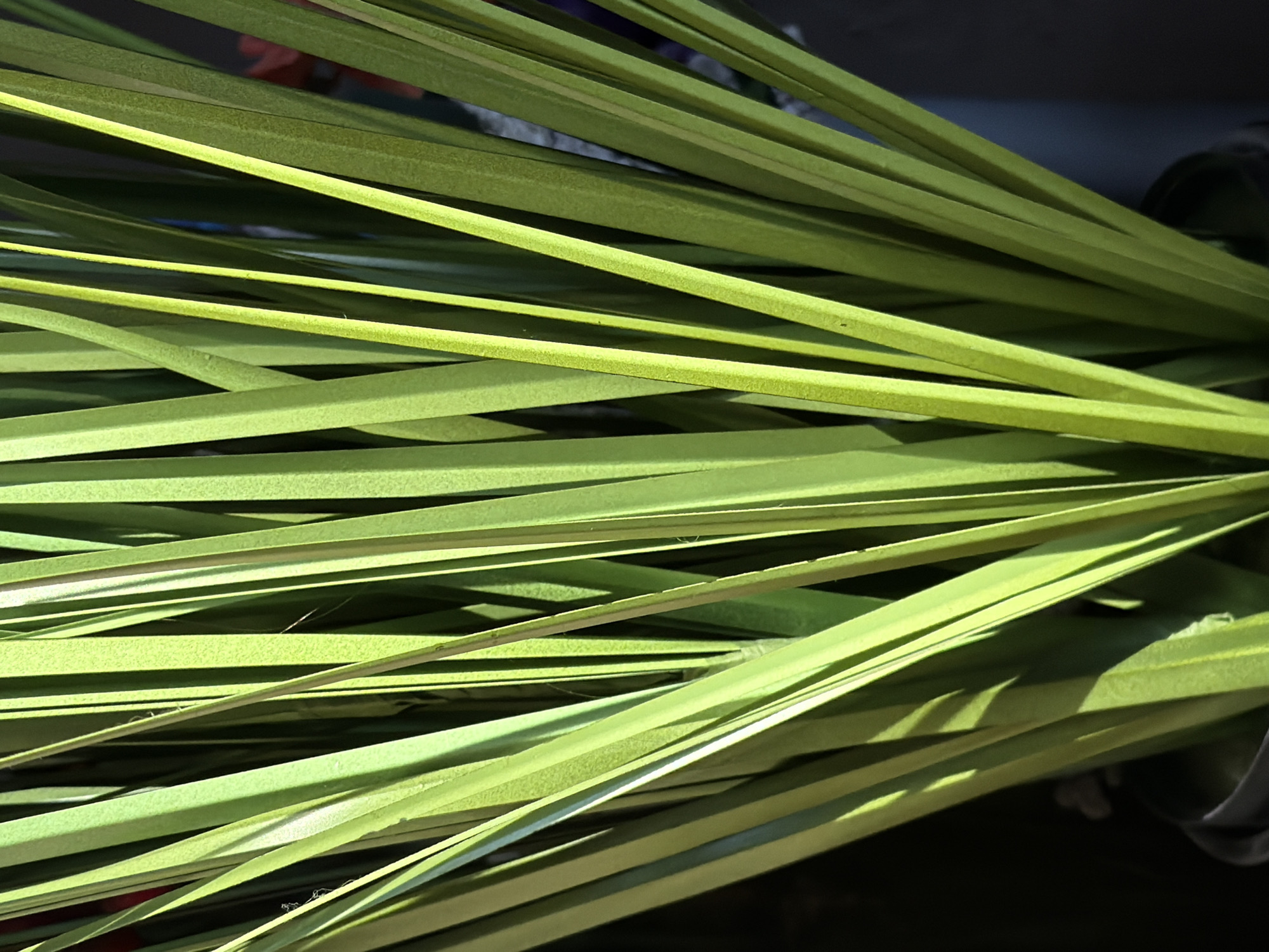 The image depicts a close-up view of several green, blade-like leaves arranged in a seemingly random manner. The leaves are mostly a light green color with some variations in shade. Shadows and highlights play across their surfaces, suggesting a light source illuminating the scene from the upper left. The background is dark and indistinct, making it difficult to discern any details beyond the immediate arrangement of leaves. The precise location is unknown.