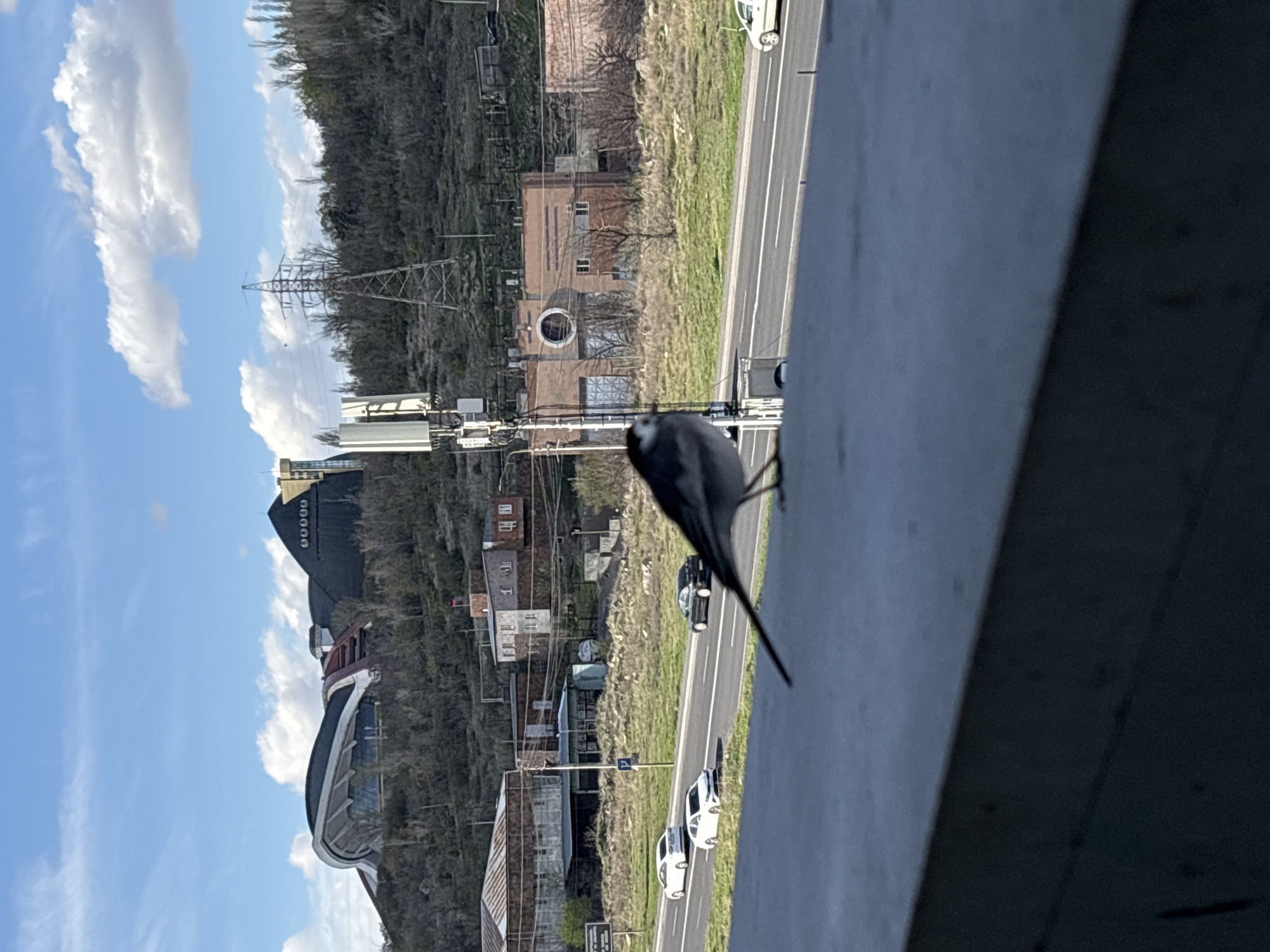A dark bird is perched on a concrete barrier, with a view overlooking a roadway and cityscape. The roadway has vehicles moving along it. Beyond the roadway, there is a hillside with buildings and power lines. The sky is blue with scattered clouds. The city is Yerevan, Armenia.