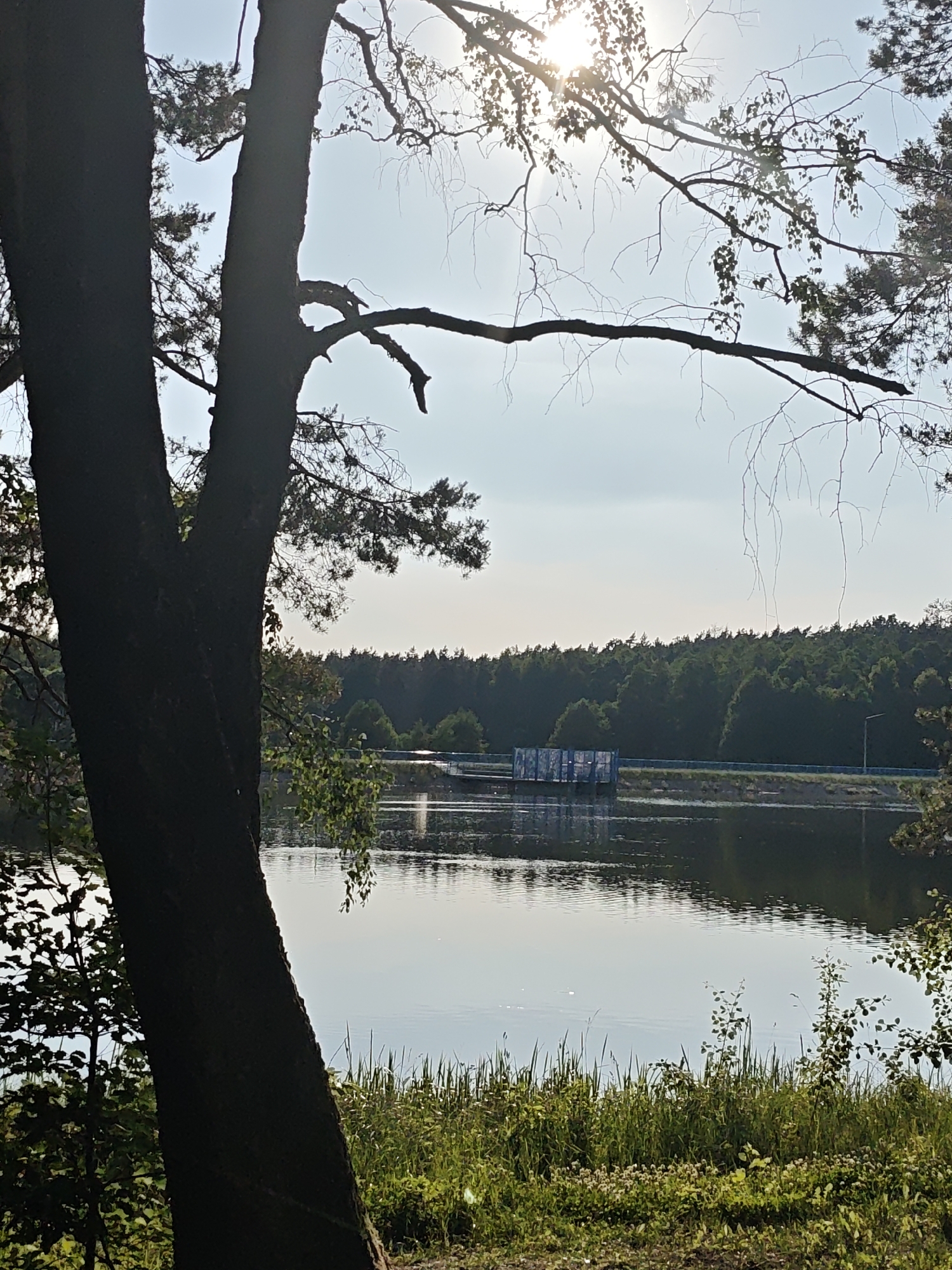 This is a vertical, outdoor, eye-level, medium shot of a lake with a dense forest on the opposite shore. The sun is shining brightly through the bare branches of a large tree in the foreground, which is silhouetted against the bright sky. The tree takes up the left side of the frame. The lake is calm and reflects the sky and the trees on the far shore. In the distance, across the lake, a blue and white building stands on a pier or walkway. The forest on the far bank is a dark, uniform green. The time of day appears to be late afternoon or early morning, given the low angle of the sun and the soft light. The weather seems to be clear and warm. There is no visible text in the image. The scene evokes a sense of peace and tranquility.