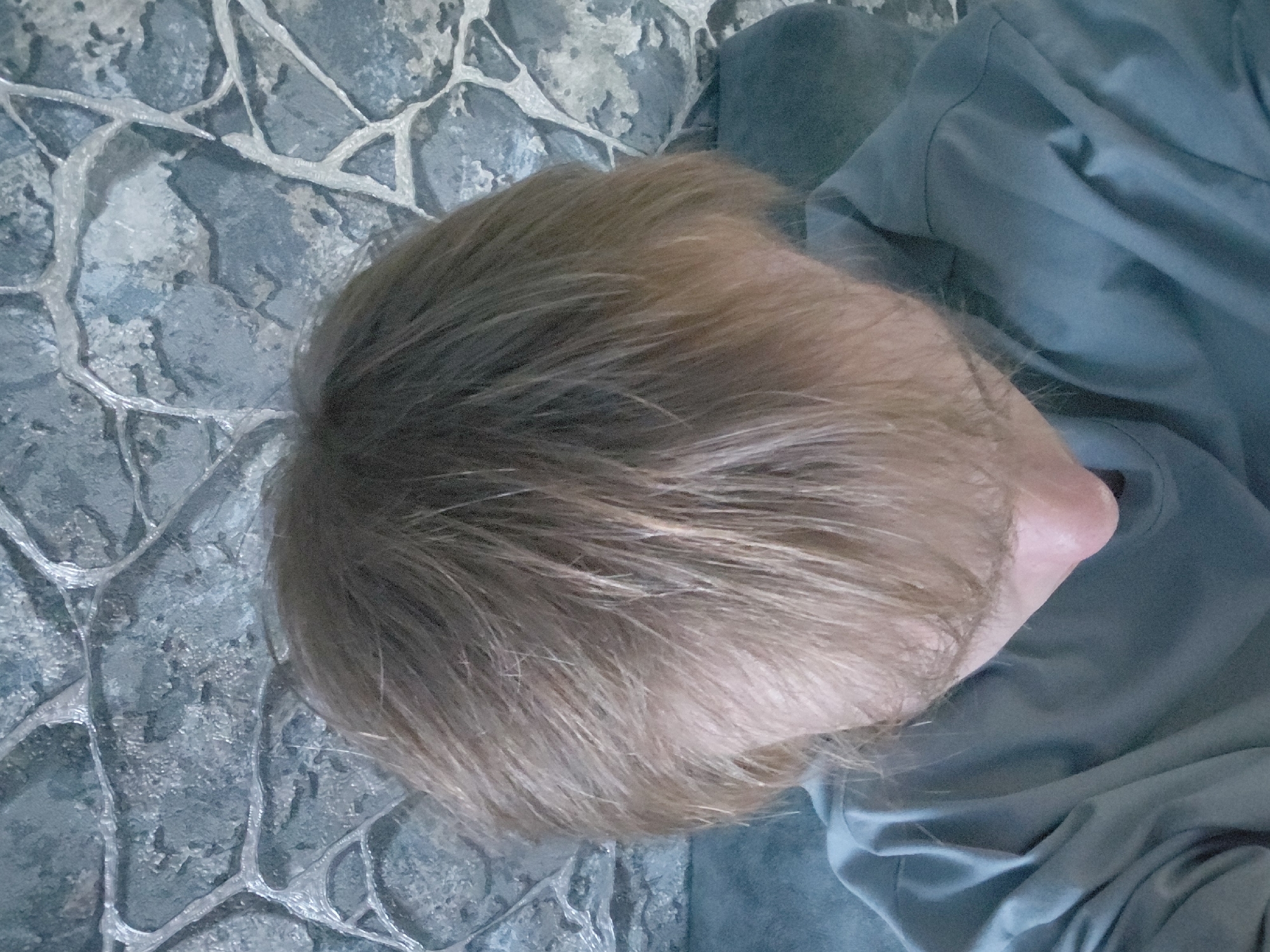 The image presents an overhead view of a person, likely a child or young adult, situated indoors in Nadym, Russia. The individual is seen from behind, primarily showing the top and back of their head, adorned with light brown, slightly dishevelled hair. A portion of their neck and ear is also visible on the right side of the frame.
The person is wearing a light blue or greenish-blue long-sleeved garment, possibly a t-shirt or hoodie, which appears soft and draped. Their head is tilted downwards and to the right. The background consists of a textured surface, possibly a wall or a piece of furniture, featuring an intricate pattern of irregular, light-colored lines resembling cracks or veins, set against a darker grey-blue, stone-like base.
The setting appears to be a casual indoor environment. No specific activity is clearly taking place beyond the person being in a relaxed or contemplative pose. The time of day and weather are not discernible. No emotions can be inferred as the face is not visible, and there is no visible text in the image.