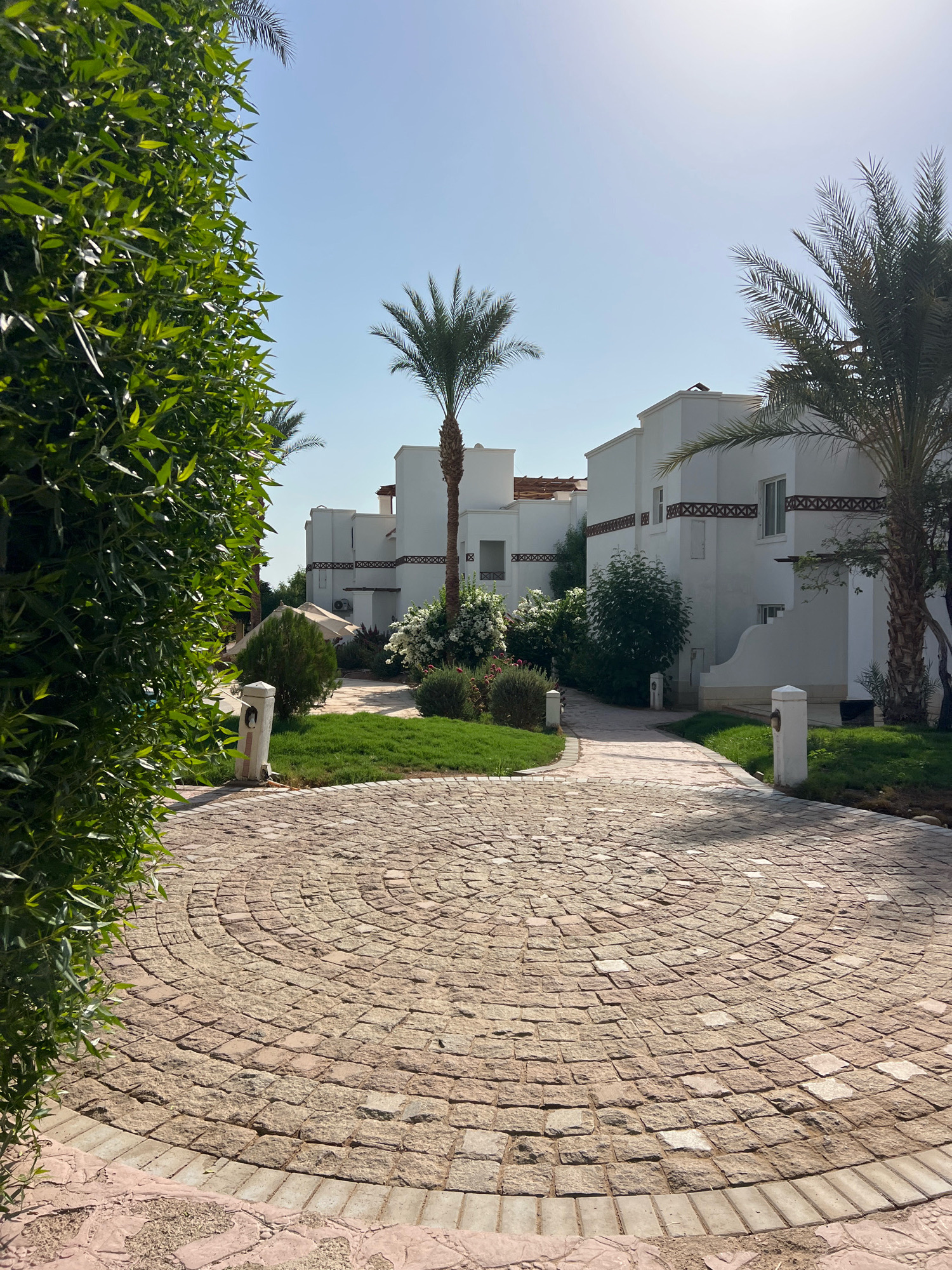The image depicts a sunlit courtyard in Sharm El Sheikh, Egypt, characterized by its arid climate and distinct architectural style. A circular paved pathway, constructed from light brown cobblestones, dominates the foreground. Lush green foliage, likely a meticulously maintained hedge, occupies the left side of the frame, contrasting with the arid landscape.
Beyond the pathway, white buildings with flat roofs and subtle decorative trim are visible. These structures are characteristic of resort architecture found in desert environments, designed to stay cool. Palm trees, a staple of the region, are interspersed throughout the scene, their fronds reaching towards a clear, bright blue sky. The lighting suggests a mid-morning or early afternoon time, with the sun casting subtle shadows. The overall impression is one of a well-kept resort or residential complex, designed to embrace and adapt to the local climate. There are no people or animals visible in the image.