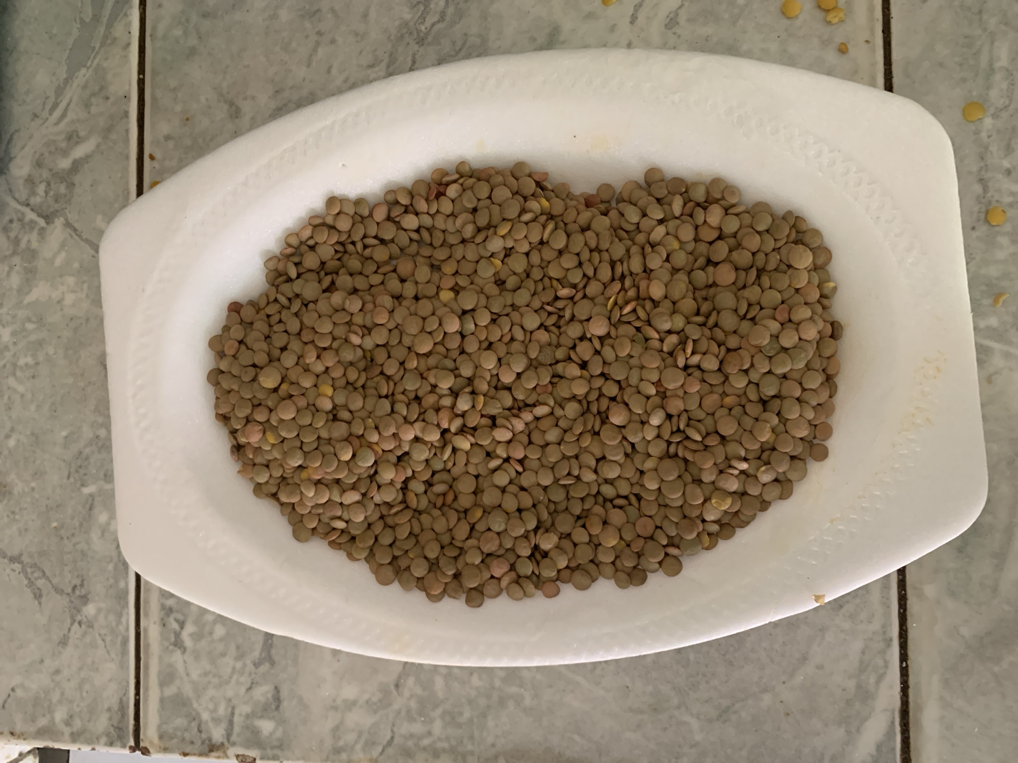 A top-down, medium shot captures a white, oval-shaped styrofoam tray brimming with dried lentils. The lentils are small, disc-shaped, and exhibit a mix of greenish-brown, beige, and light reddish tones, filling the tray densely. The white tray features a slightly raised, decorative rim with a subtle textured pattern.
The tray is positioned on a tiled surface, likely a floor or countertop, characterized by square or rectangular tiles with a mottled pattern in various shades of light gray and white. Dark grout lines are visible between the tiles, with a prominent vertical line running through the left side of the frame. A few individual lentils and small fragments are scattered outside the tray on the tiled surface, notably in the upper right and lower left portions of the image.
No discernible activity or people are present in the image. There is no visible text. The lighting is even, suggesting an indoor setting, but the specific time of day or weather conditions cannot be determined. This scene is located in Santa Ana, Venezuela.