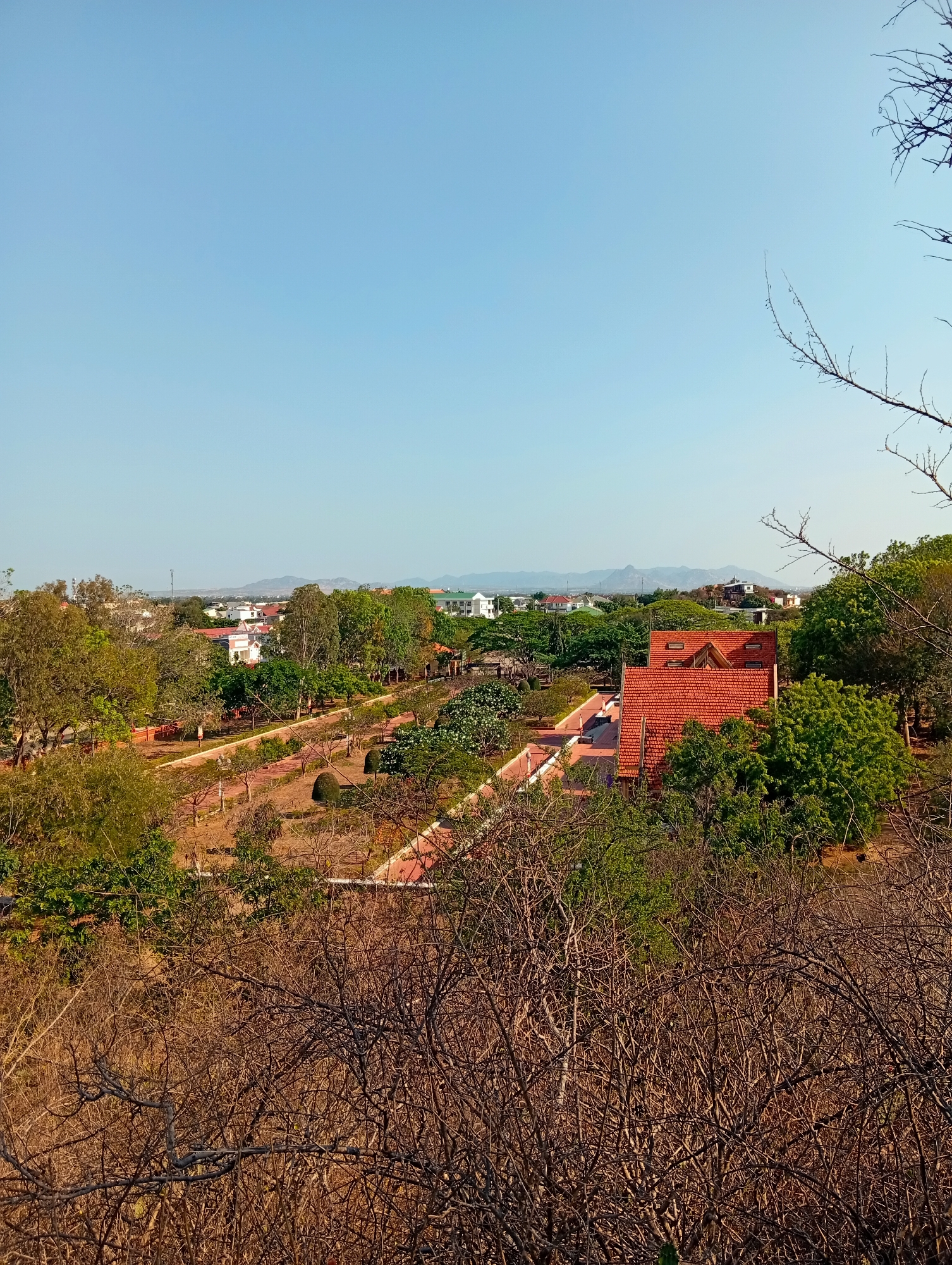 The image displays an expansive outdoor landscape viewed from an elevated vantage point, showcasing a blend of natural vegetation and urban development under a clear, bright blue sky.
In the immediate foreground, a dense network of dry, tangled tree branches and leafless shrubs fills the lower portion of the frame, indicating a dry season or specific type of flora. Amidst these dry elements, pockets of vibrant green foliage are also visible.
The midground reveals a landscaped area, possibly a park or garden, featuring well-maintained paths that appear to be paved with reddish bricks or tiles, winding through beds of smaller trees and manicured bushes. Several buildings with distinctive red-tiled roofs are prominent, with a large, multi-gabled structure partially obscured by green trees on the right side of the frame. Further into the mid-distance, other residential-style buildings with light-colored walls are nestled among the trees.
The background extends into a broader view of a town or city, characterized by numerous buildings and a distant, subtle outline of mountains or hills under the horizon. A tall, slender tower, possibly a telecommunications mast, can be seen in the far distance.
The time of day is bright daylight, suggested by the strong illumination and the absence of clouds. The clear sky and dry vegetation imply sunny weather. There are no people visible, and no specific activity is taking place, creating a serene and static scene. The architecture, particularly the red-tiled roofs, and the mix of dry and lush vegetation are consistent with the location context of Phan Rang – Tháp Chàm, Vietnam. No visible text is present in the image.