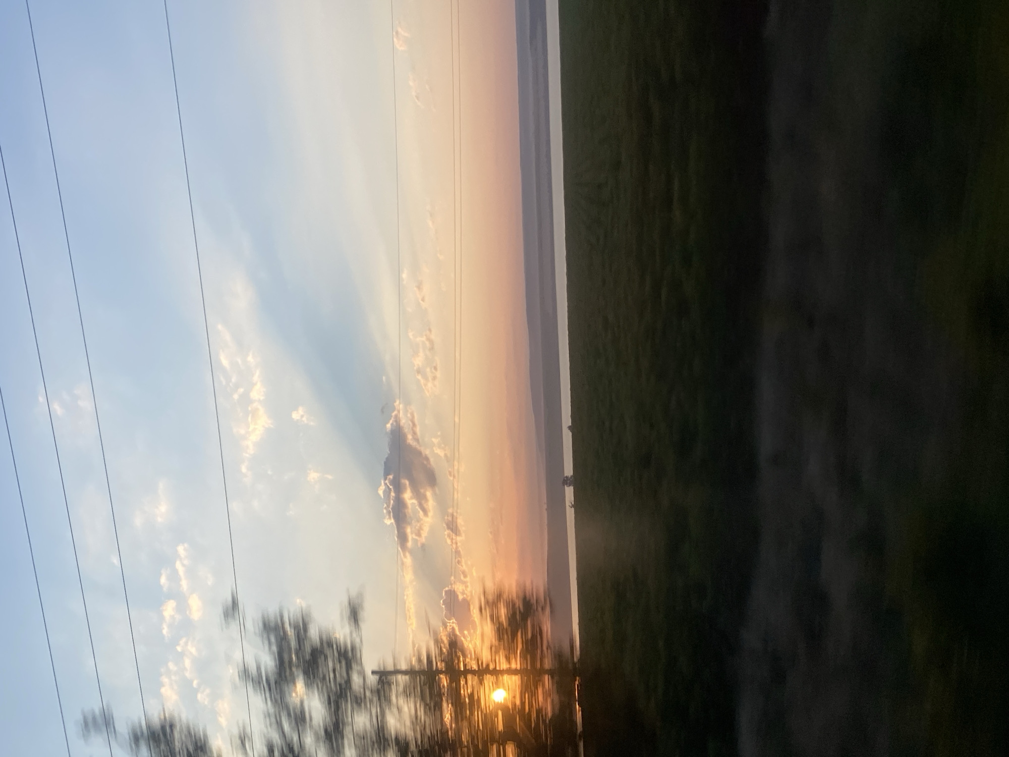 The image depicts a sunset scene over a rural landscape, likely on the outskirts of Balabanu, Moldova. In the foreground, a blurry tree branch with its leaves is visible on the left, with the sun peeking through it. The sun itself is a bright orb, casting a warm glow. Power lines are strung across the upper part of the frame, spanning the sky. The sky transitions from a pale blue at the top to shades of orange and pink near the horizon, with scattered clouds. Below the sky, a body of water is visible, possibly a river or lake. Beyond the water, a flat, dark green field stretches out, possibly a cultivated crop. In the far distance, a hazy, layered landscape of hills or mountains is visible. The overall impression is one of peaceful, natural beauty at the end of the day.