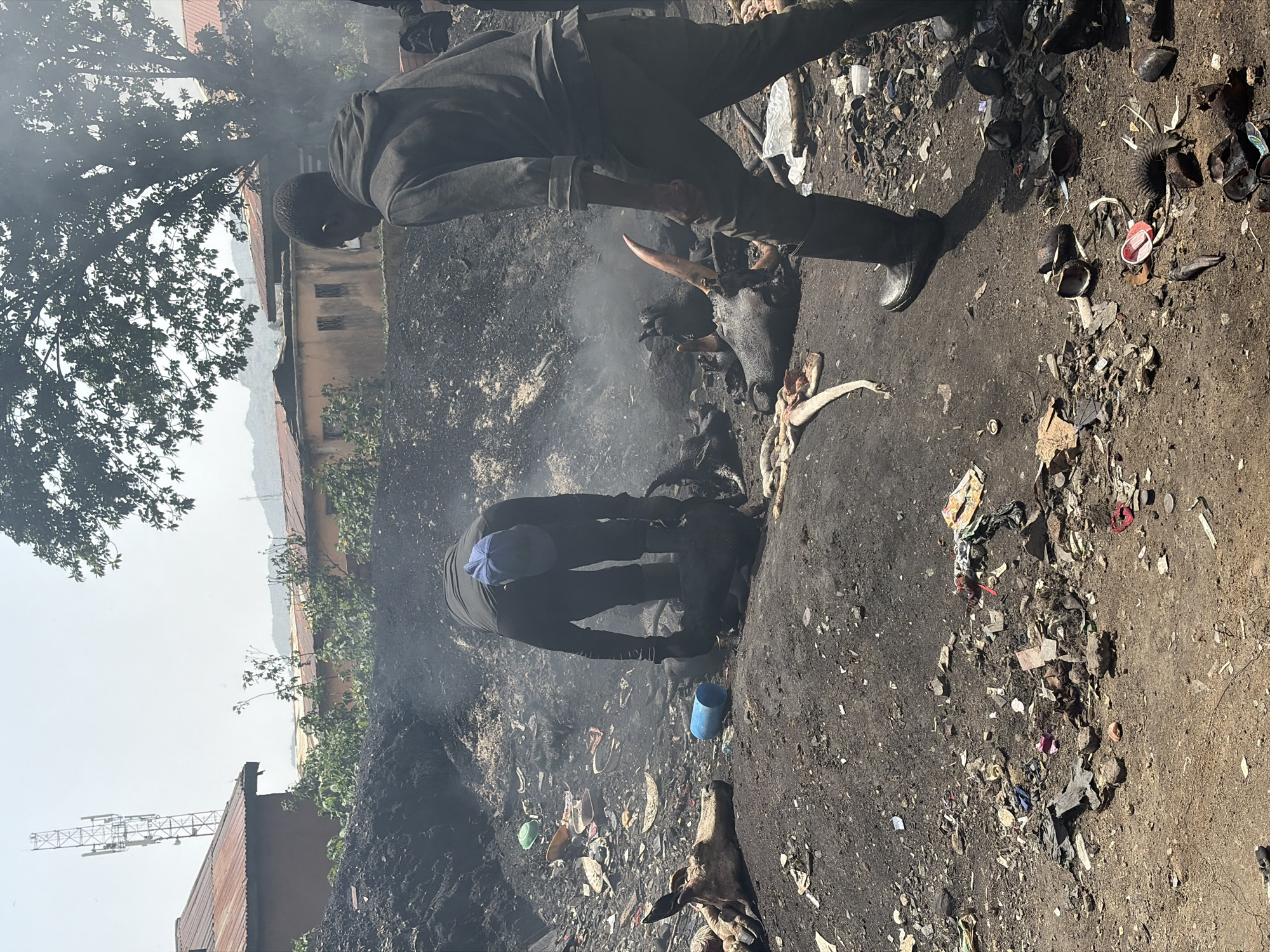 Two men are processing the carcasses of animals, likely cattle, on a dirt surface littered with debris and animal remains. The environment appears to be a roadside or open area within the city of Jos, Nigeria, given the presence of buildings, trees, and what appears to be a communications tower in the background. Smoke rises from the area where the men are working. One man stands over the carcasses, while the other is kneeling and appears to be handling the remains.