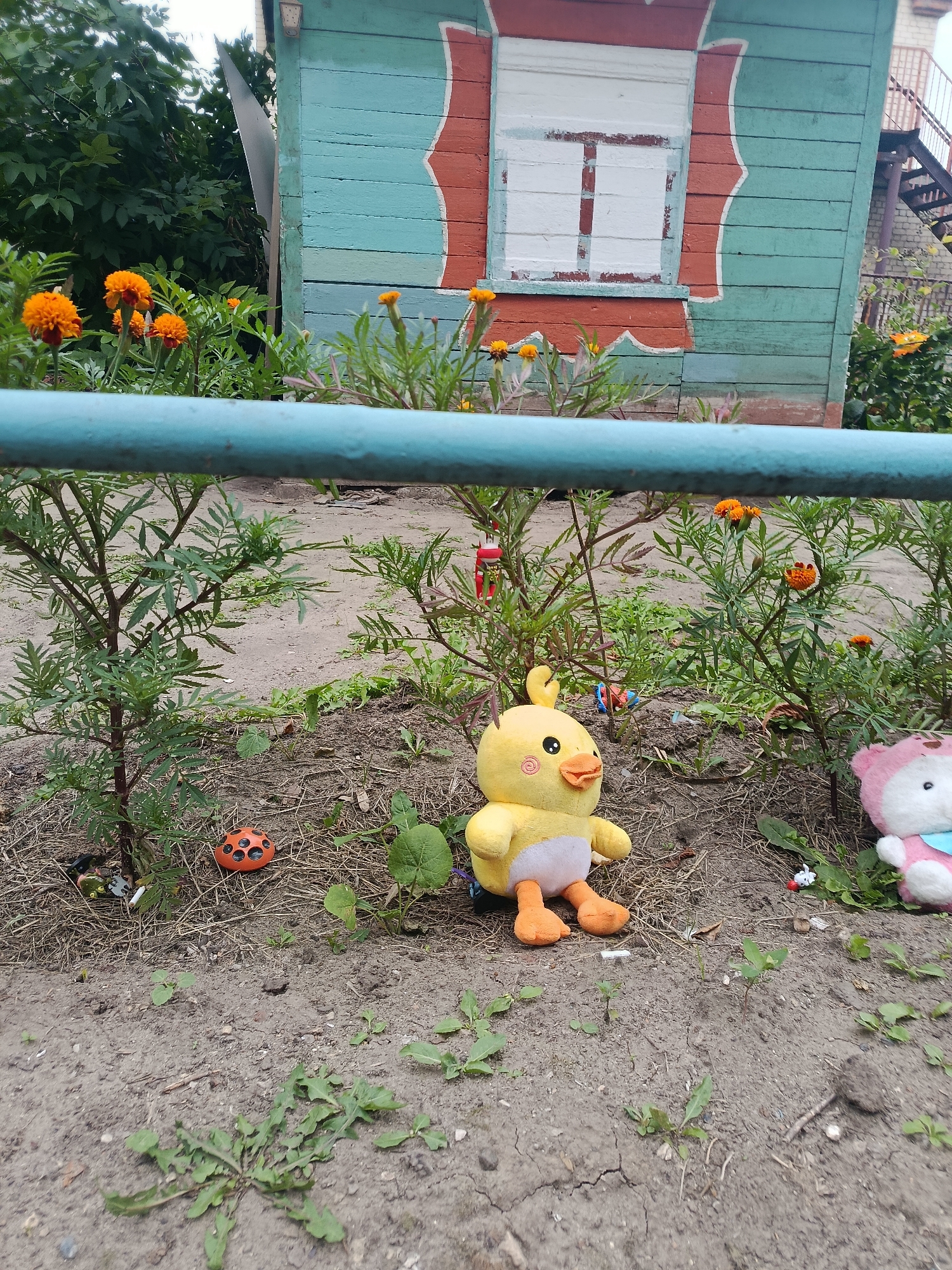 In Syzran, Russia, a close-up, low-angle shot captures a small garden bed against a backdrop of a weathered, brightly painted wooden structure. The structure features teal and red siding, with a white-framed window. A blue metal railing runs horizontally across the foreground, partially obscuring the scene.
Within the garden, several marigold plants with vibrant orange flowers are in bloom. Amidst the foliage and on the dry, sandy soil, several objects are visible. A plush yellow duck toy sits prominently on the ground, facing left. To its right, a pink and white plush bear toy, wearing a blue bib, is partially visible. Further left, an orange plastic ball with black polka dots rests on the soil. A few small green weeds sprout from the ground, and dried grass and leaves are scattered throughout. Small, colorful plastic toys are also present, including a red and white item near the duck and a small car-like object near the orange ball. The ground appears to be dry, with visible cracks in some areas. A metal staircase is visible to the right of the wooden structure. The overall scene suggests an outdoor play or garden area.