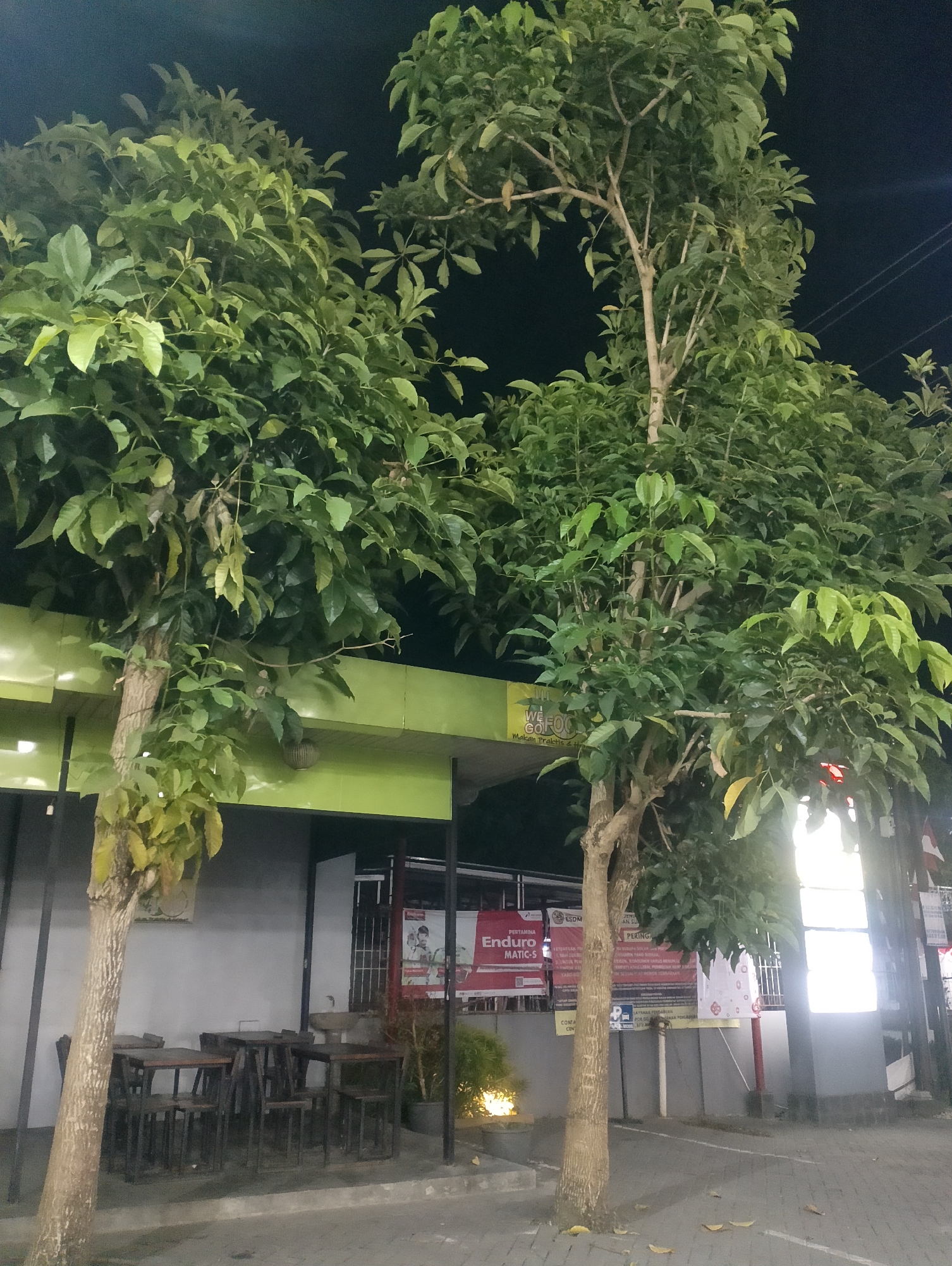 A night-time exterior shot captures a street-side scene in Harjobinangun, Indonesia. Two trees, one prominently in the foreground on the left, with textured bark, and another to its right, are laden with lush green foliage. The trees partially obscure a building with a vibrant lime-green awning or roofline. Beneath the awning, the building appears to have a light-colored facade and several windows. To the left of the building, there are several dark wooden tables and chairs, suggesting an outdoor seating area for a cafe or restaurant. In the background, there are posters and signage on the building, including a red and white banner that reads "PERTAMINA ENDURO MATIC-S". A street light and power lines are visible against the dark night sky. The ground in front of the building is paved.