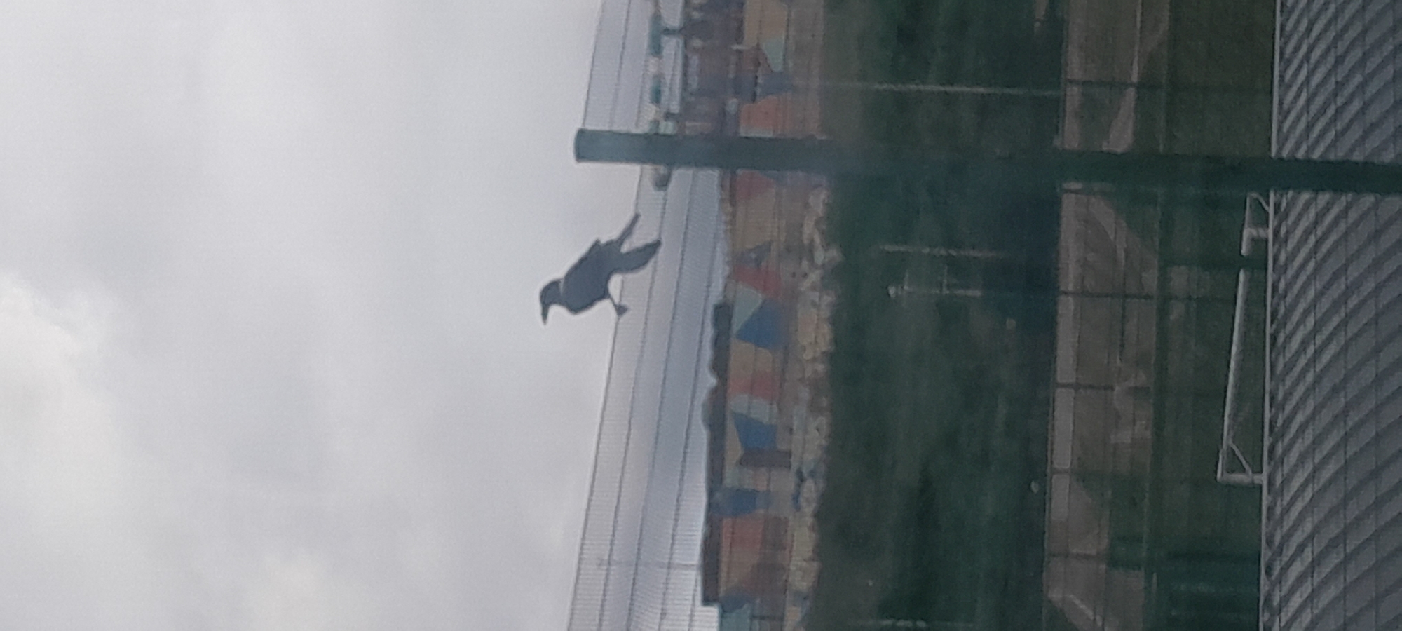 A silhouette of a bird is perched on a wire fence against an overcast sky. The bird is dark and appears to be a crow or raven. It is facing left, with its wings slightly spread and one leg extended. In the background, there are blurred structures and vegetation, and further in the distance, a fence with a multicolored facade. A vertical post, also silhouetted, is in the foreground on the right side of the image. The overall scene suggests an outdoor environment, possibly a park or a stadium, in Abuja, Nigeria.