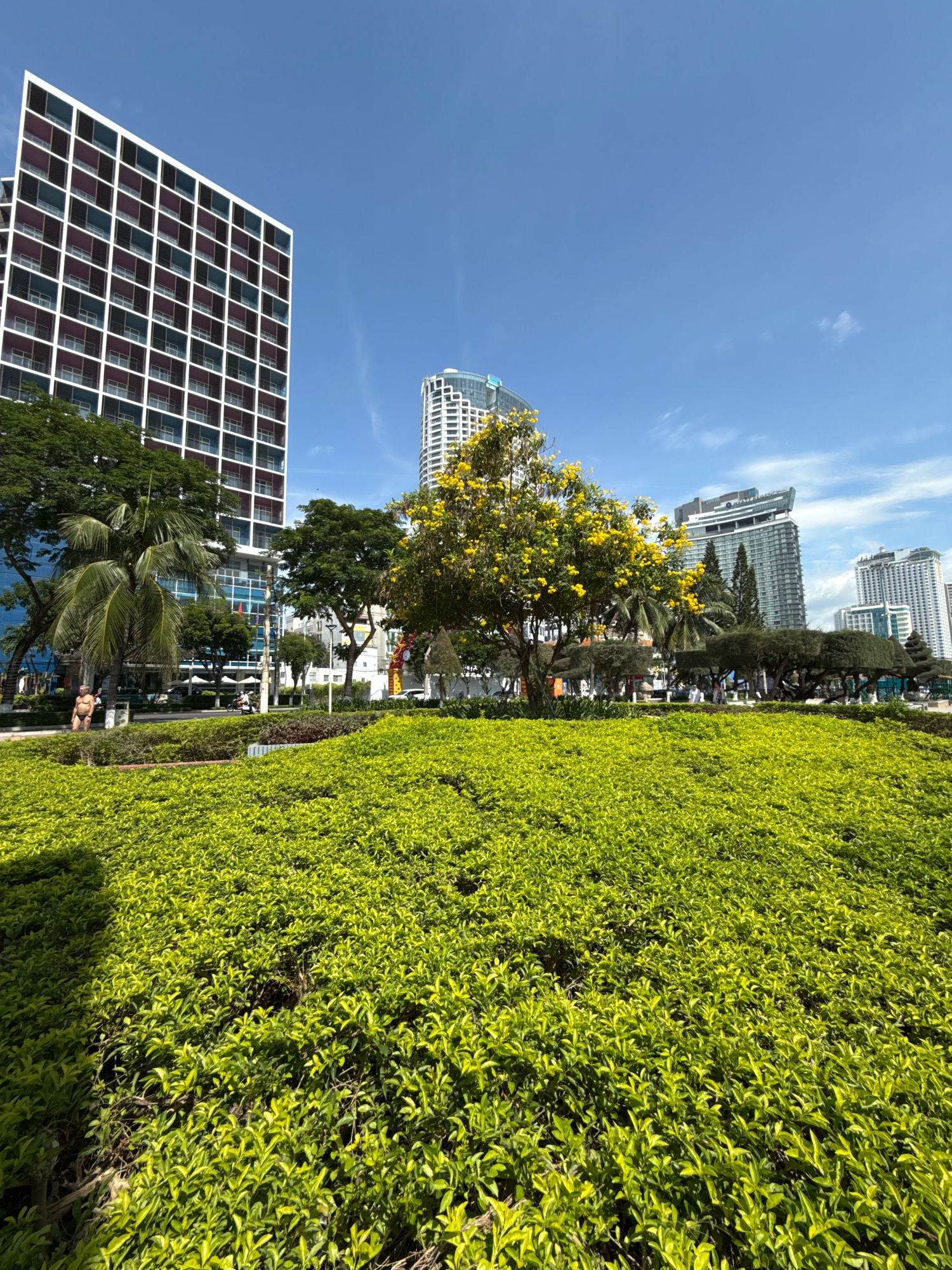 This image captures a bright, sunny day in Nha Trang, Vietnam, showcasing a section of a modern urban park. In the foreground, a meticulously manicured, vibrant green bush covers the majority of the frame, stretching towards the viewer. Behind this lush greenery, a bright yellow flowering tree stands out against the backdrop of a clear blue sky with scattered white clouds.
To the left, a tall, contemporary building with a grid-like facade, featuring alternating white, blue, and purple sections, dominates the mid-ground. Adjacent to it, palm trees and other leafy trees create a tropical atmosphere. Further back, several other modern high-rise buildings rise into the sky, characteristic of a developing city. One of these buildings, located centrally, has a distinctive angular design with a glass facade and a unique top structure.
In the middle ground, a few individuals are visible, including one person standing near the palm trees and another near a road where a motorcycle is present. A small, nude statue is also positioned on the left side of the park area. The environment appears to be a well-maintained public space designed to blend urban architecture with natural elements.