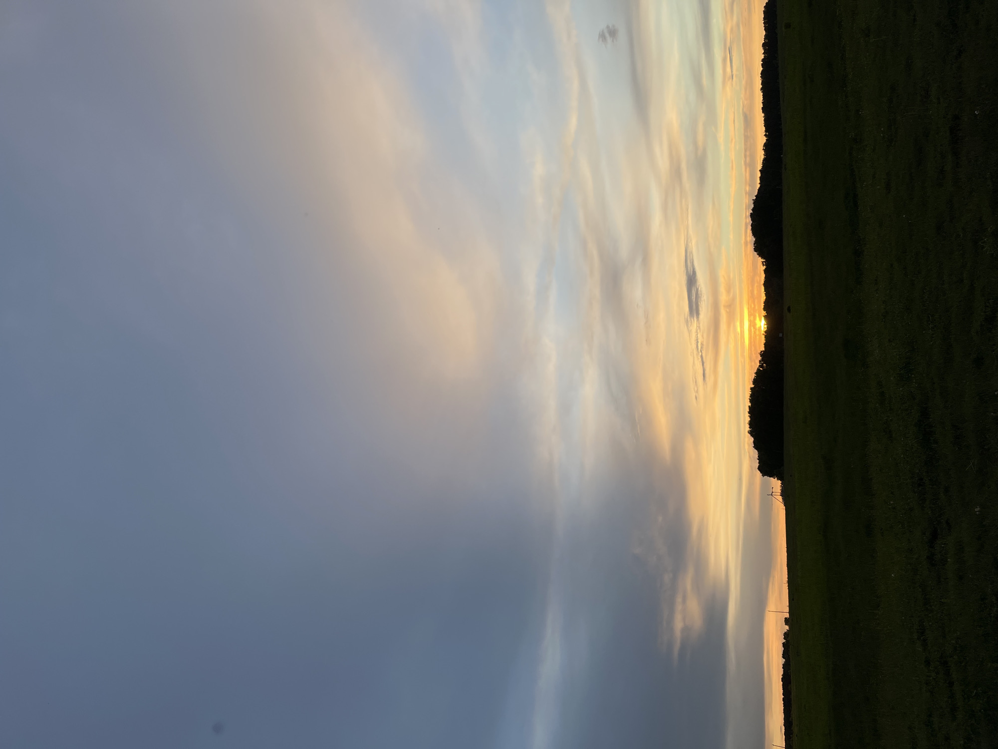 The image shows a sunset view in what appears to be a rural or edge-of-town location. The sky transitions from a dark blue-gray on the left to a vibrant orange-yellow toward the horizon on the right. Wispy clouds are visible throughout the sky, colored by the sunset. A dark green field occupies the right side of the frame, with a line of trees marking the boundary between the field and the sky. The sun is setting on the horizon, casting a bright light between the trees. There are what appear to be power lines in the distance. The location is Новочувашский, Russia.