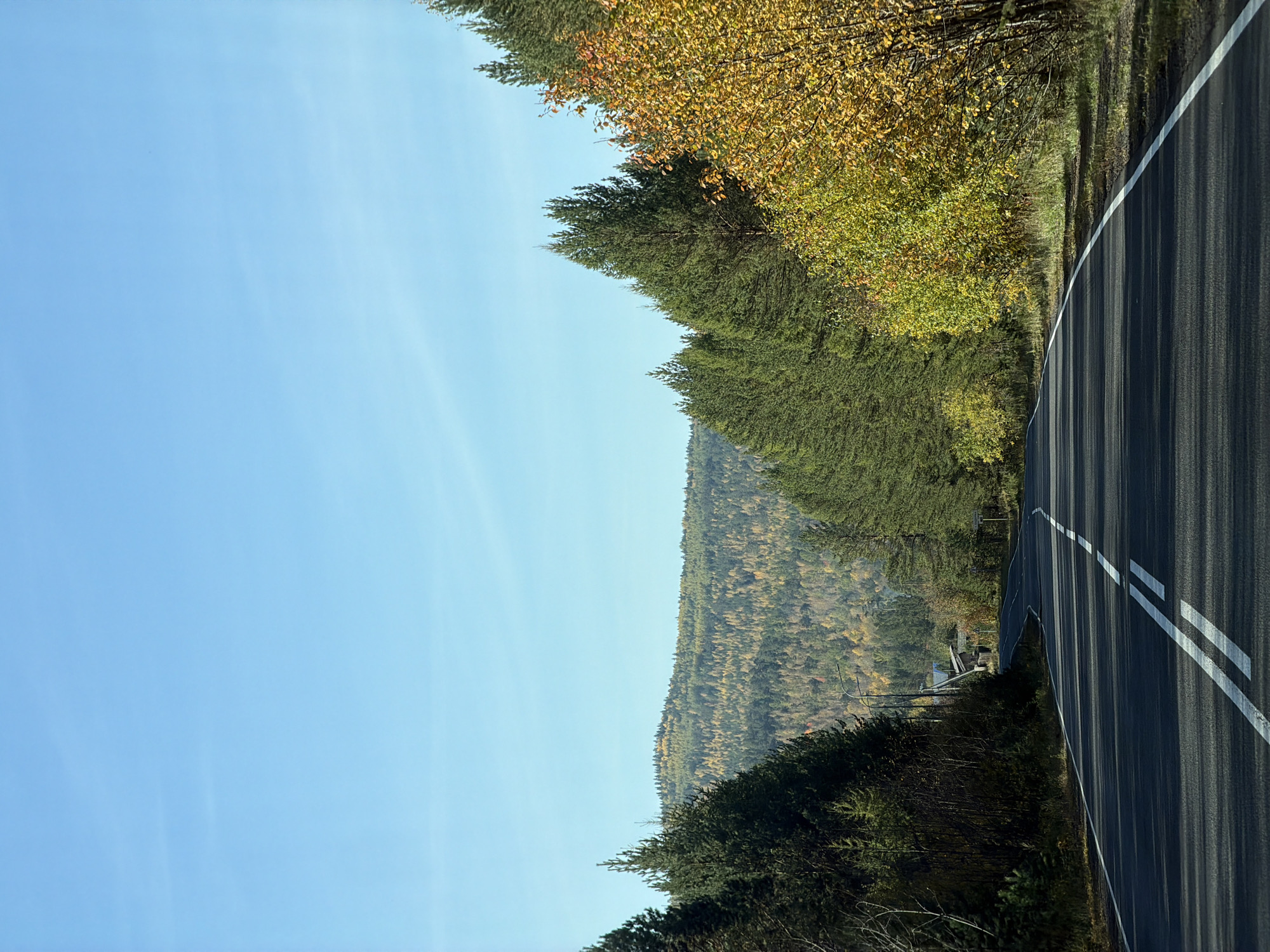 A paved road curves through a sparsely populated area with dense coniferous and deciduous forests. The sky is clear and blue. The road has a white dashed line in the center and a solid white line on the right edge. Shadows from the trees stretch across the road, indicating it is a sunny day. The deciduous trees on the right side of the road are in fall foliage, displaying shades of yellow and orange. In the distance, a forested mountain range is visible. Some small buildings and a lamppost can be seen to the left of the road, suggesting a very small settlement. This scene is located in or near Badarma, Russia.