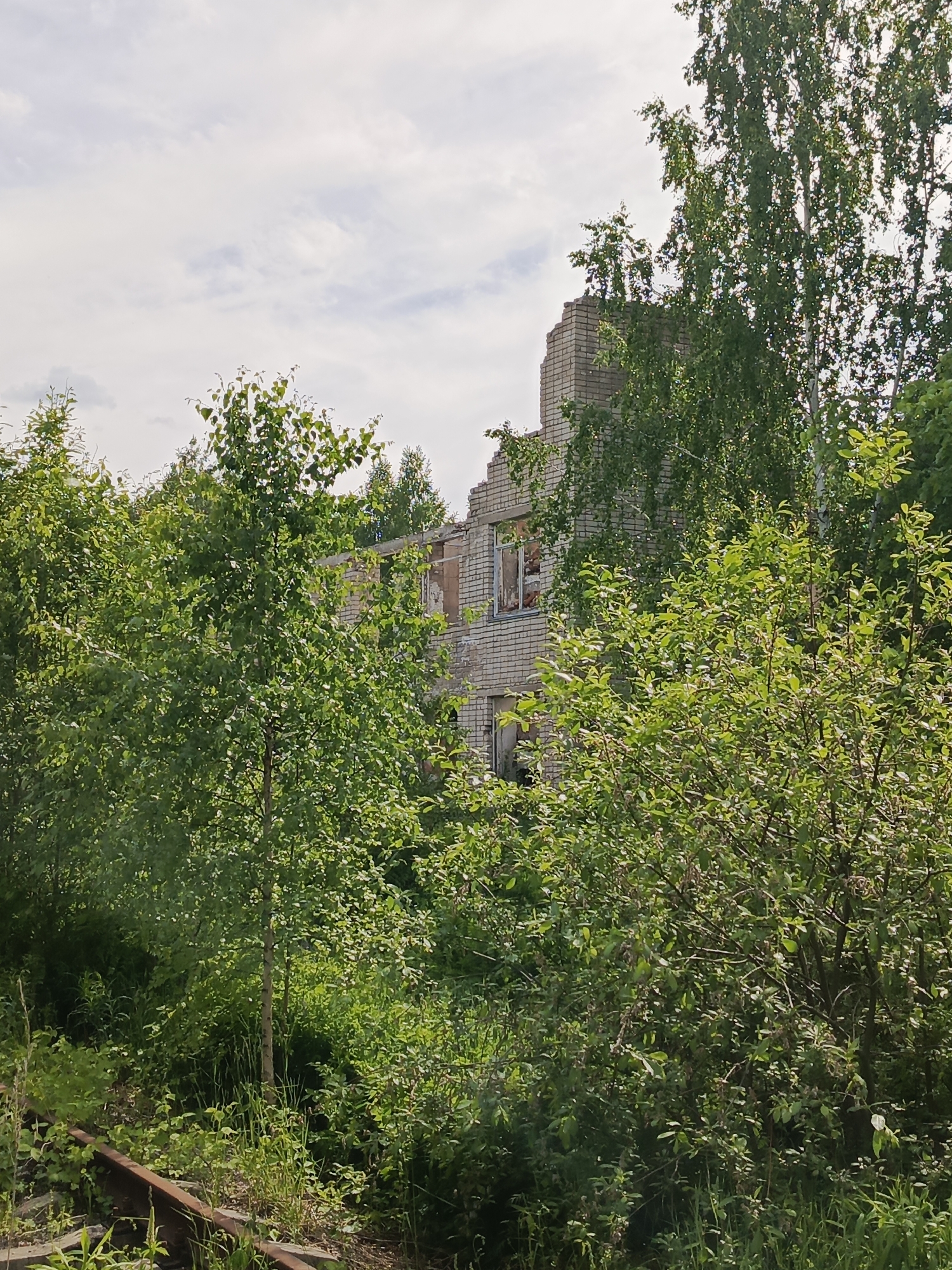 The image presents an overgrown, derelict scene, likely in Kemul, Russia, where nature has begun to reclaim man-made structures.
In the background, a two-story brick building stands in a state of disrepair. Its upper sections are partially demolished, with jagged edges and missing portions, suggesting either incomplete construction, destruction, or long-term decay. Several window openings are visible, some retaining frames while others are empty, revealing glimpses of a dark interior with debris.
The building is largely obscured and surrounded by an abundance of vibrant green foliage. Numerous trees and bushes, with their leaves in full bloom, dominate the midground and foreground, indicating a lush, warm season like late spring or summer. Some of the trees appear to be birches, characterized by their slender trunks and distinctive leaves. The ground is also densely covered with tall green grass and various wild plants, further emphasizing the lack of human maintenance.
In the lower-left foreground, a segment of rusted railway track is partially visible, half-buried under the encroaching vegetation. This detail, combined with the dilapidated building, suggests a former industrial or transportation site that has been abandoned.
The sky overhead is partly cloudy, with soft, diffused light illuminating the scene, implying a daytime shot, possibly on an overcast day. There are no people, animals, or any specific activities taking place, reinforcing the tranquil yet melancholic atmosphere of abandonment. No discernible text is visible anywhere in the image.