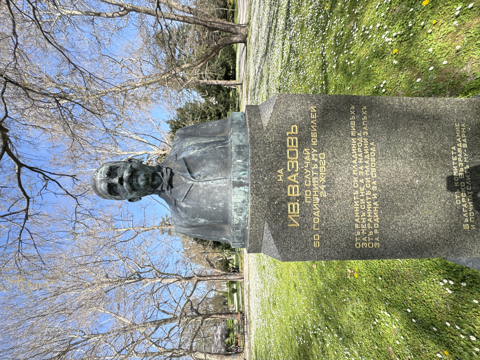 A bronze bust of Bulgarian writer Ivan Vazov stands prominently on a granite pedestal in an outdoor park setting in Varna, Bulgaria. The bust depicts a man with a mustache, wearing a suit jacket, shirt, and bow tie. The bronze material shows some green patina, indicating age.
The granite pedestal features engraved text in Bulgarian, rendered in gold. The inscription identifies the subject as "ИВ. ВАЗОВЪ" (IV. VAZOV) and states that the monument was erected "ПО СЛУЧАЙ 50 ГОДИШНИЯТЬ МУ ЮБИЛЕЙ 24-X1920" (ON THE OCCASION OF HIS 50TH JUBILEE 24-X-1920). Below this, a quote is inscribed: "ОТЪ РАННИТЬ СИ МЛАДИНИ ЖИВѣхъ ЗА МЕНЪ СИ НЕ, А ЗА НАРОДА, ОТЬ РАННИТЬ СИ МЛАДИНИ ЗАПЪХЪ ЗА РОДИНА И ЗА СВОБОДА." (FROM MY EARLY YOUTH I LIVED NOT FOR MYSELF, BUT FOR THE PEOPLE, FROM MY EARLY YOUTH I STRIVED FOR THE HOMELAND AND FOR FREEDOM.) The dedication concludes with "отъ КОМИТЕТА БЪЛГАРСКО ВЪЗРАЖДАНИЕ И ПОЧИТАТЕЛИТЬ МУ-ВАРНА" (FROM THE COMMITTEE BULGARIAN REVIVAL AND HIS ADMIRERS - VARNA).
The monument is set amidst a lush green lawn abundantly covered with small white daisy-like flowers and a few yellow blooms. In the background, numerous trees with bare branches rise towards a clear blue sky, suggesting either late autumn, winter, or early spring. A paved path is visible further back in the park. The scene is brightly lit, indicating daytime. The image is taken at a slight tilt, with the monument serving as the central subject.