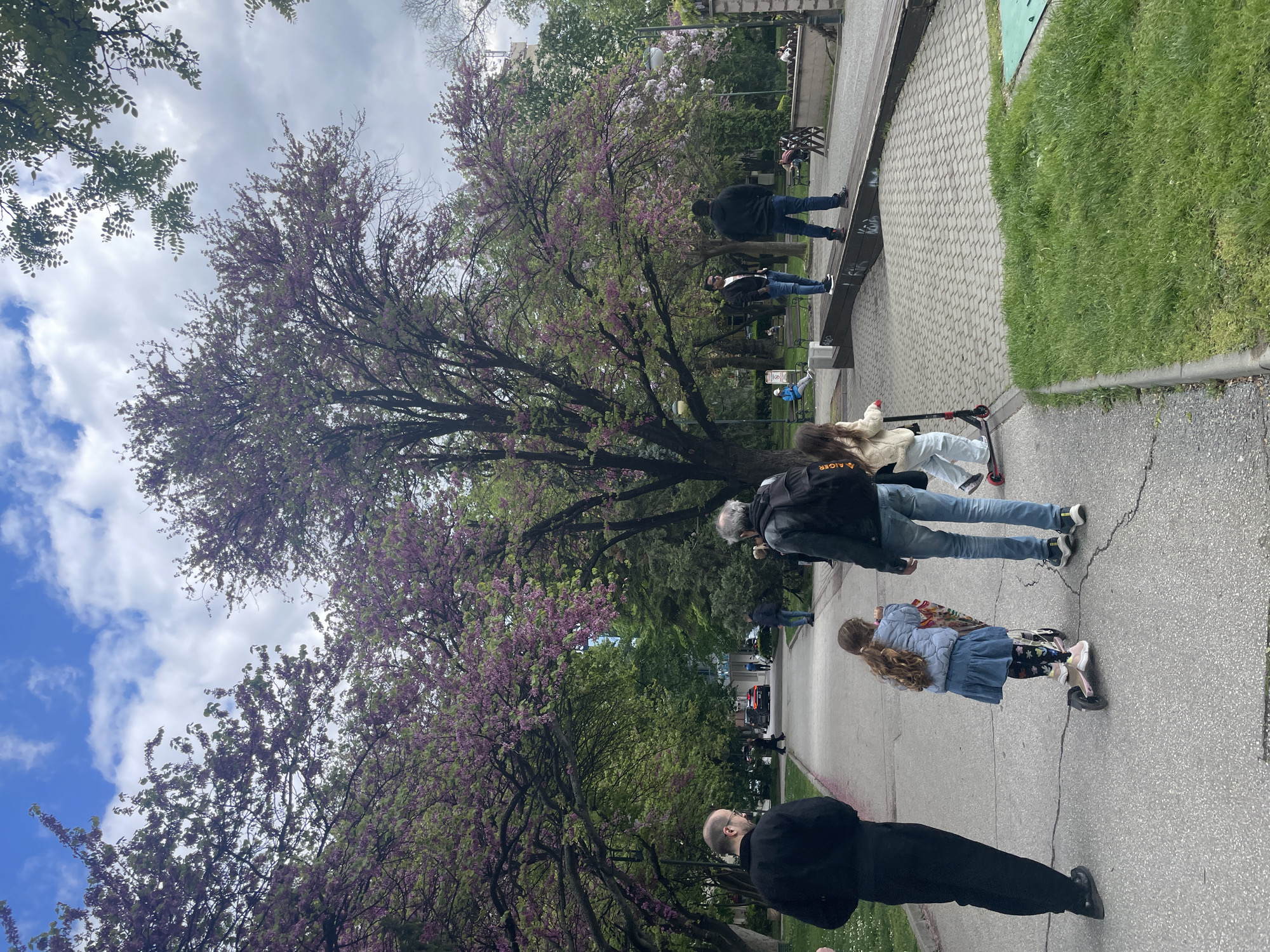 The image shows a park scene in Plovdiv, Bulgaria. Several people are present, walking along a paved path lined with trees in full bloom with pink flowers. One individual in a black suit stands prominently in the foreground. Further along the path are two adults and a child with a scooter. Other figures are seen in the background near benches and a low wall. The sky is partly cloudy.