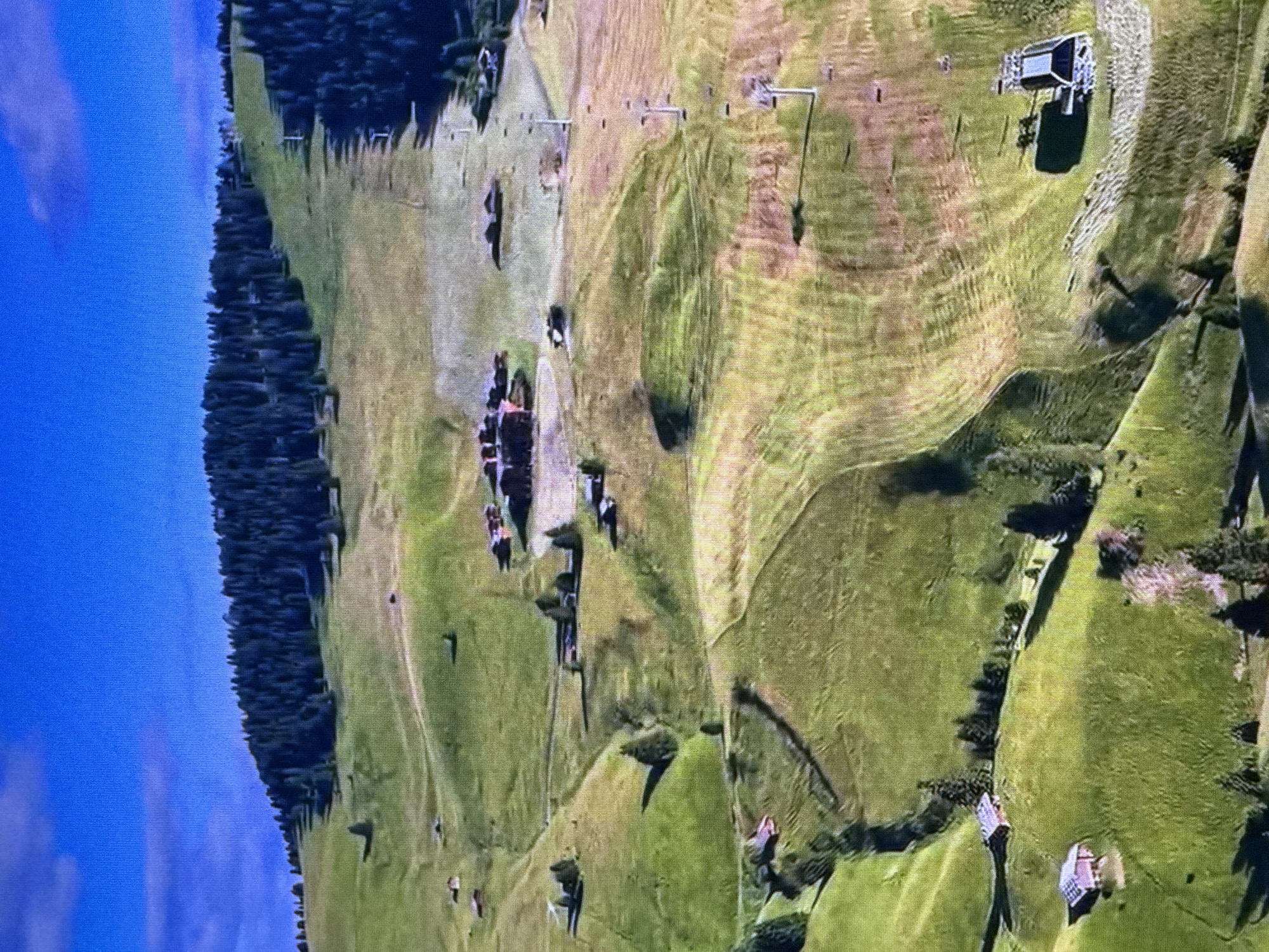 This image depicts a rural, mountainous landscape, likely in a region known for its alpine scenery. The scene features rolling green hills covered in grass, with scattered clusters of dark green pine trees. Several small, rustic wooden buildings, resembling chalets or cabins, are visible nestled on the hillsides. A ski lift system with towers and cables runs up a cleared slope, indicating this is likely a ski resort or area. The sky is a clear, bright blue with a few wispy white clouds. The overall impression is one of a serene, natural environment, likely in a mountainous region with a developed tourist infrastructure. This scene is not located in Dubai, United Arab Emirates, as Dubai is a desert city and does not possess such mountainous terrain or alpine vegetation.