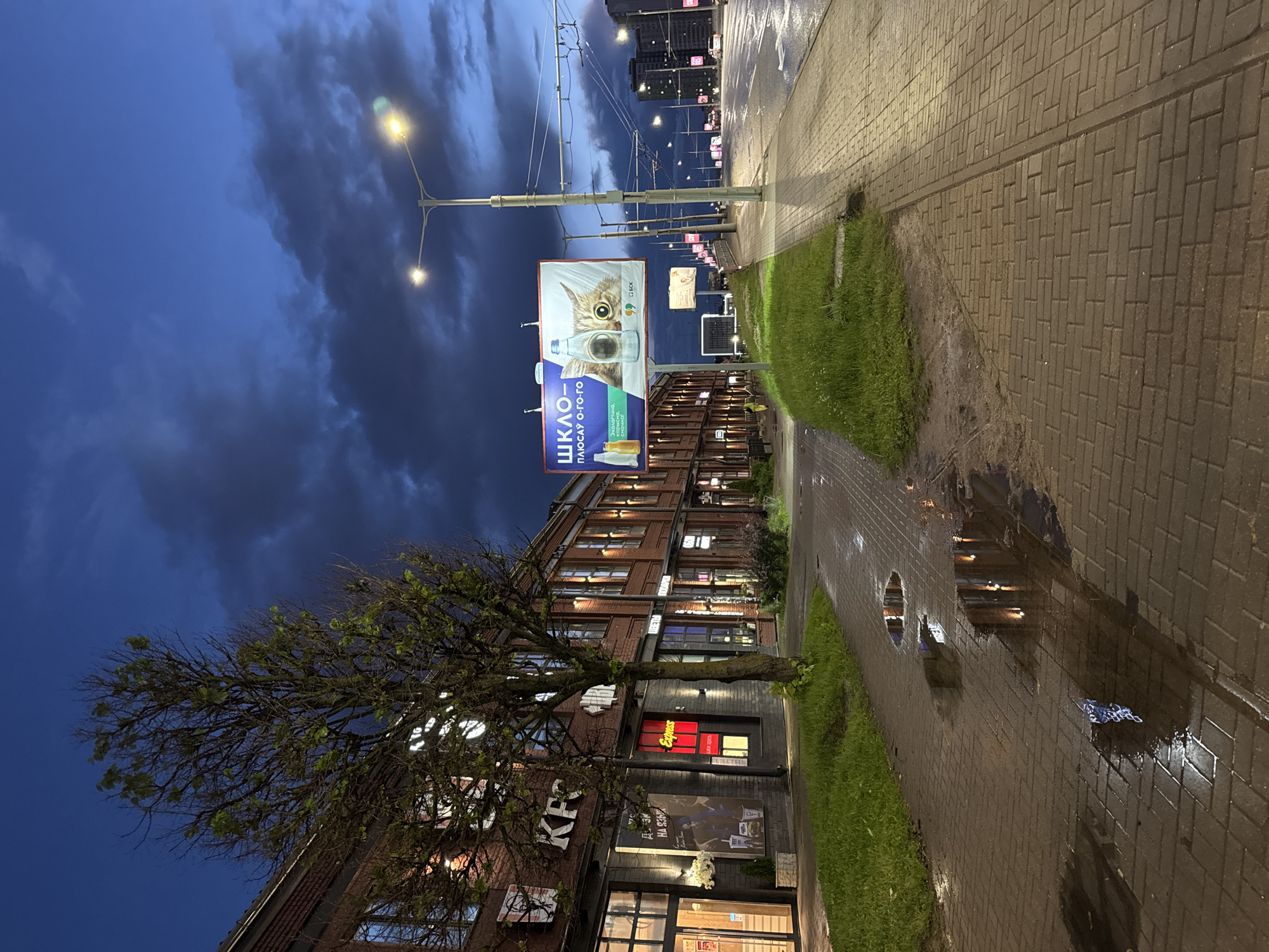 The image depicts a street scene in Minsk, Belarus, during twilight. On the left, a brick building with large windows and illuminated signage, including "KFC" and "Express," lines the sidewalk. A leafless tree stands in front of the building, casting a shadow on the wet, brick-paved sidewalk. Puddles of water on the sidewalk reflect the lights from the building and a distant billboard. The billboard, prominently displayed, features a cat and text in Cyrillic, likely an advertisement. A streetlamp with two lights illuminates the scene from the right. The street itself is wet, indicating recent rain, and a few cars are visible in the distance. The sky is dark blue with scattered clouds, characteristic of evening. In the far distance, tall buildings can be seen. The overall atmosphere is one of an urban environment at dusk, with elements of commerce and infrastructure visible.