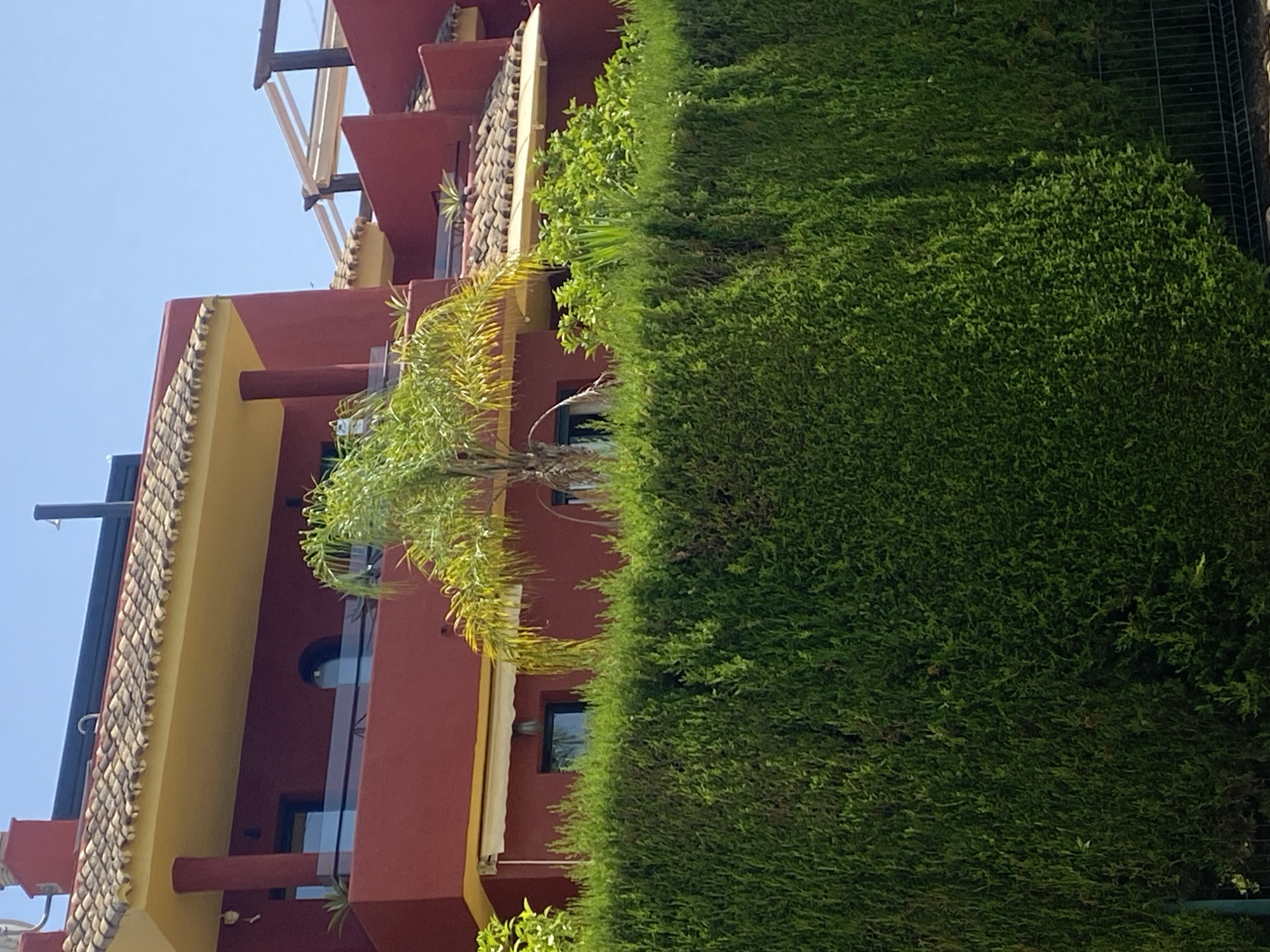 This is a medium shot, exterior, eye-level, slightly angled, daytime, full-color photograph of a section of a two-story building in Bel Air, Spain, partially obscured by a dense, tall green hedge in the foreground. The building features a red-painted facade, tan tile roofs, and yellow overhangs. A balcony with a glass railing is visible on the upper level. A slender palm tree with sparse fronds grows in front of the building. The sky is clear and blue. A metal fence runs along the bottom right of the image, partially visible behind the hedge.