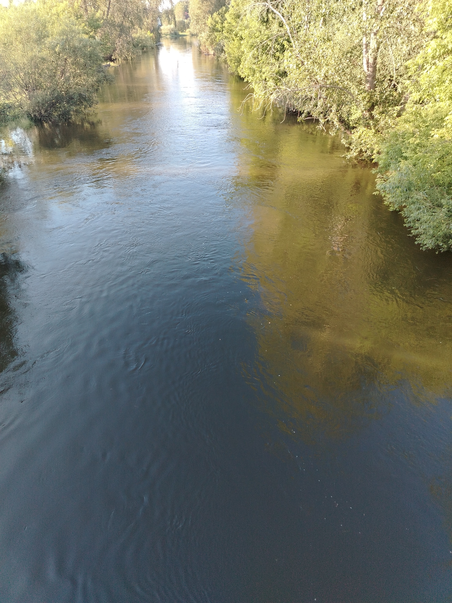 This media file captures an overhead view of a winding river flowing through a lush, green landscape. The river is the primary subject, with its surface reflecting the surrounding trees and the sky. The water itself is divided into two distinct zones of color: a darker, deeper blue on the left side of the frame, and a lighter, yellowish-brown on the right, likely due to the reflection of the sunlit foliage. Small ripples and currents are visible on the water's surface, indicating gentle movement.
The banks of the river are densely lined with trees and bushes, their leaves a vibrant green. These trees create a natural canopy that casts shadows on the water. On the right bank, the sunlight illuminates the foliage, creating a warm, golden glow that is reflected in the river. On the left bank, the vegetation appears to be more in shadow, contributing to the darker hue of the water.
The scene suggests a peaceful, natural setting during daylight hours, likely late afternoon or early evening given the warm tones of the sunlight. There are no people or specific objects visible in the frame, focusing entirely on the natural elements of the river and its surroundings. The overall mood is serene and tranquil. The location is not identifiable from the visual information provided, and there is no visible text.