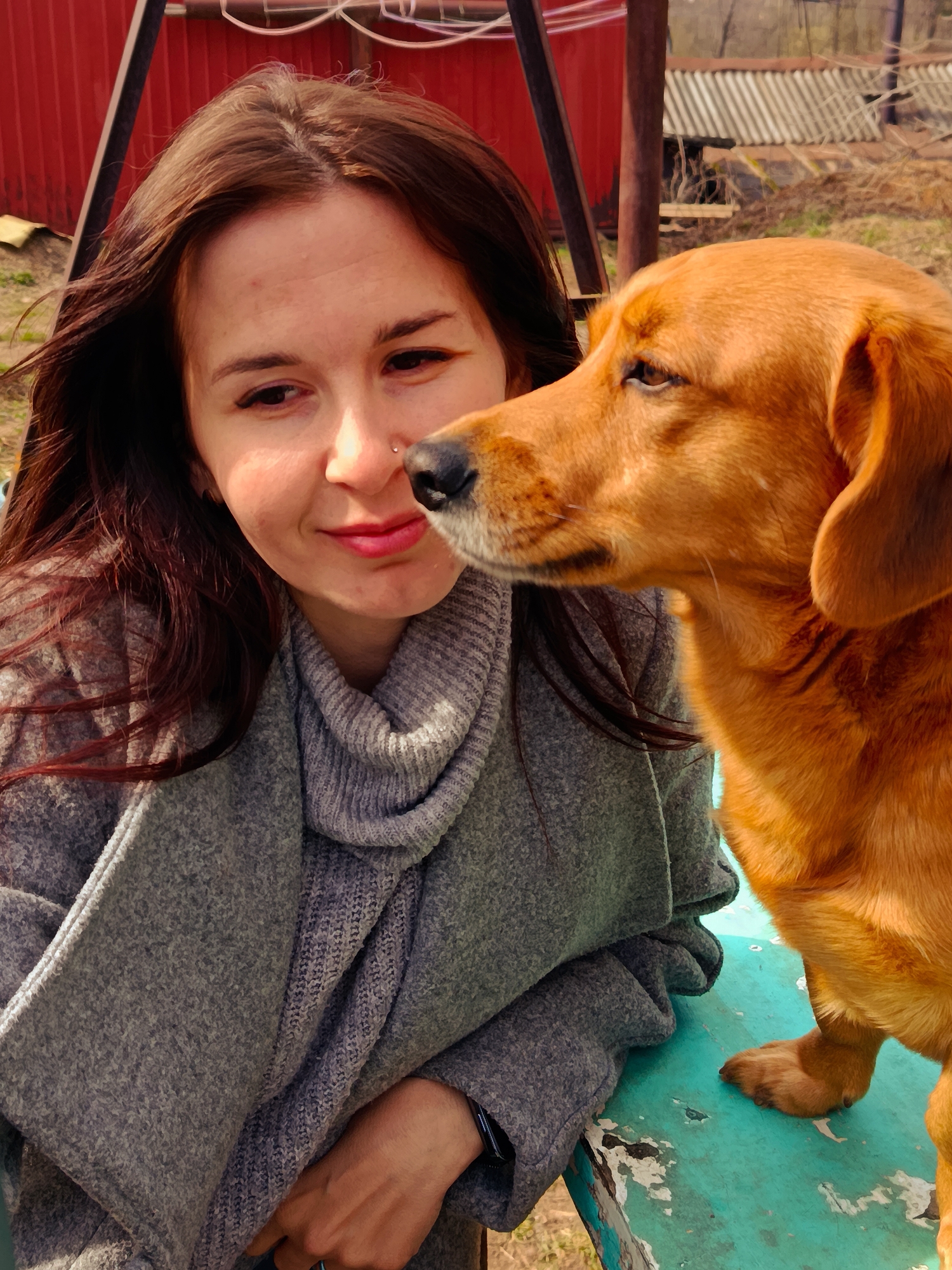 The image portrays a young woman and a reddish-brown dog sharing an affectionate moment in an outdoor setting in Фоки, Russia. The woman, with long dark brown hair and a gentle smile, is positioned on the left, looking towards the dog. She is dressed in a grey turtleneck sweater and a matching grey coat. A subtle nose piercing is visible on her right nostril.
To her right, a medium-sized dog with short, reddish-brown fur stands on a vivid turquoise, weathered surface, which appears to be a chipped table or bench. The dog's head is turned towards the woman, its snout close to her face, suggesting a close and tender interaction.
The background reveals a rustic, rural environment. A prominent red corrugated metal wall or fence is directly behind the subjects. Further back, bare trees and shrubs are visible, along with a dilapidated building or shed featuring a corrugated roof, indicating a natural and somewhat unkempt landscape. The scene is illuminated by bright natural light, suggesting it is daytime on a sunny day. The woman's expression conveys warmth and happiness in the company of her canine companion. There is no visible text in the image.