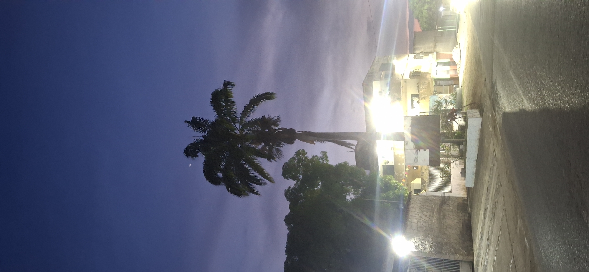 The image depicts a street scene at dusk or night in Tinaquillo, Venezuela. A tall palm tree dominates the left side of the frame, silhouetted against a dark blue sky. The right side of the image shows a street with buildings, some appearing to be residences, illuminated by artificial lights. A road runs along the right edge. The scene has low ambient light.